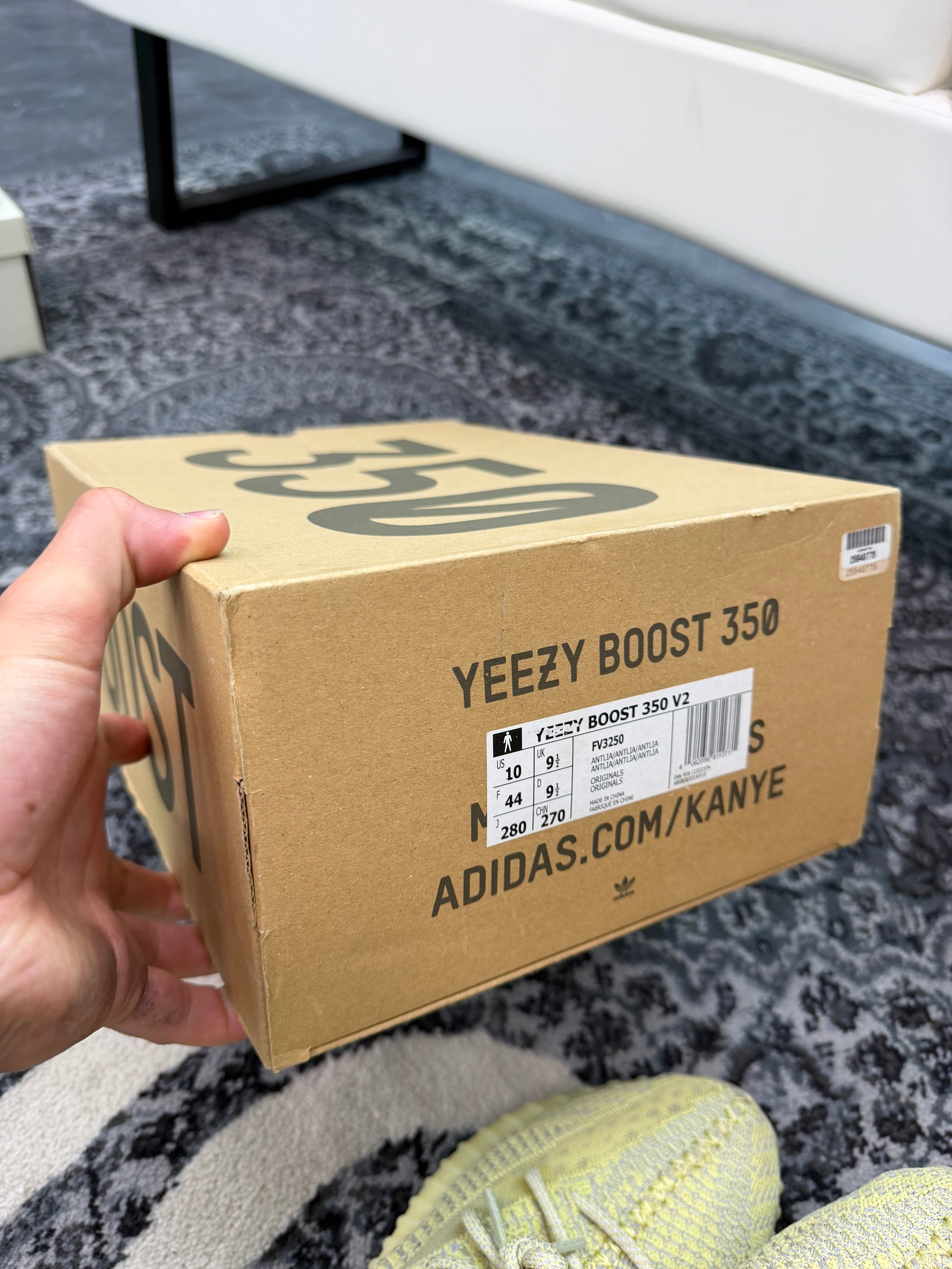 Yeezy 350 “Antlia”