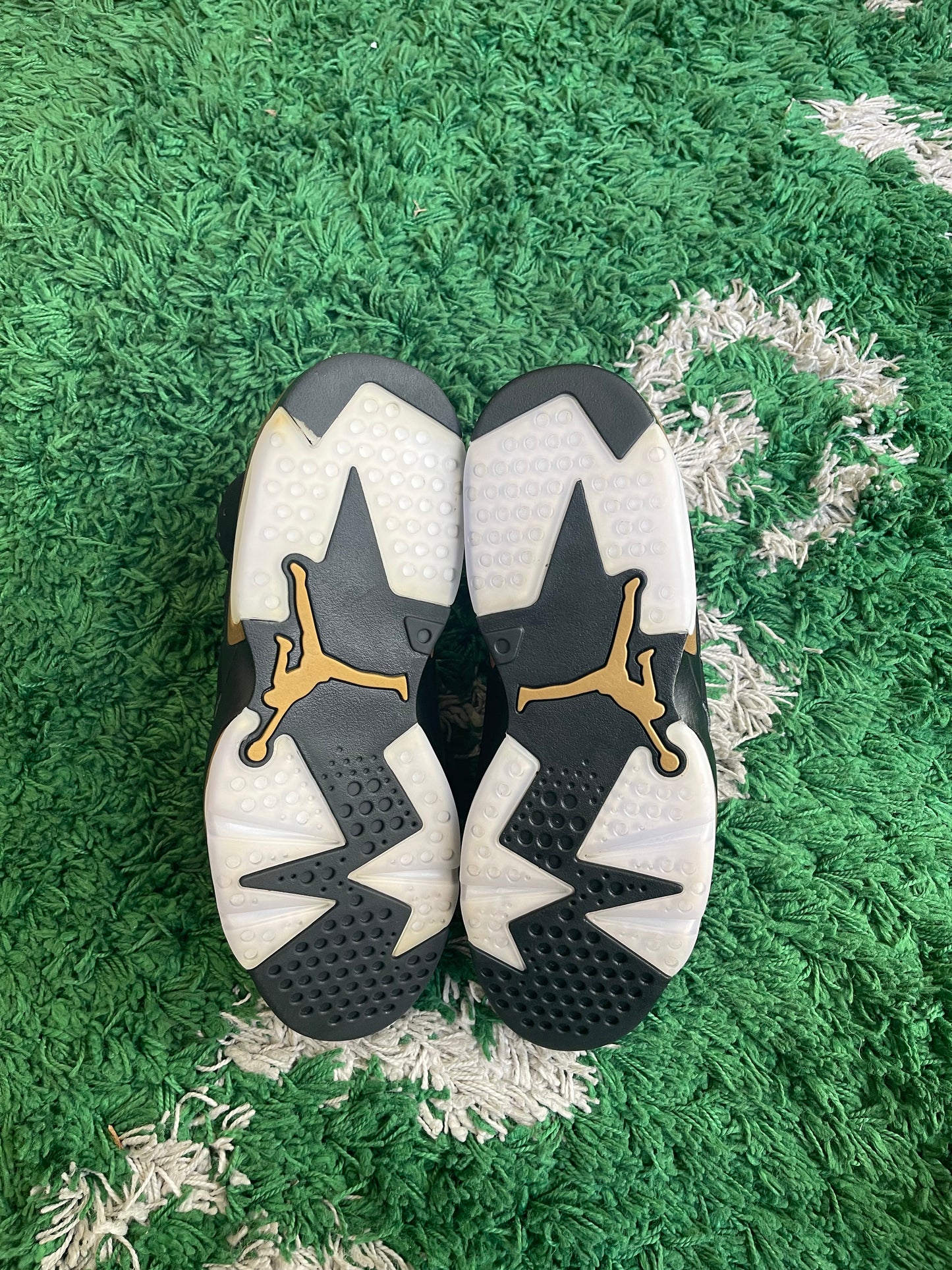 Jordan 6 “DMP”