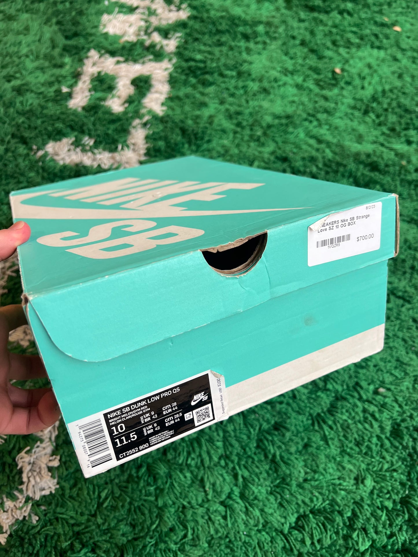 Nike Dunk Low SB “Strange Love”