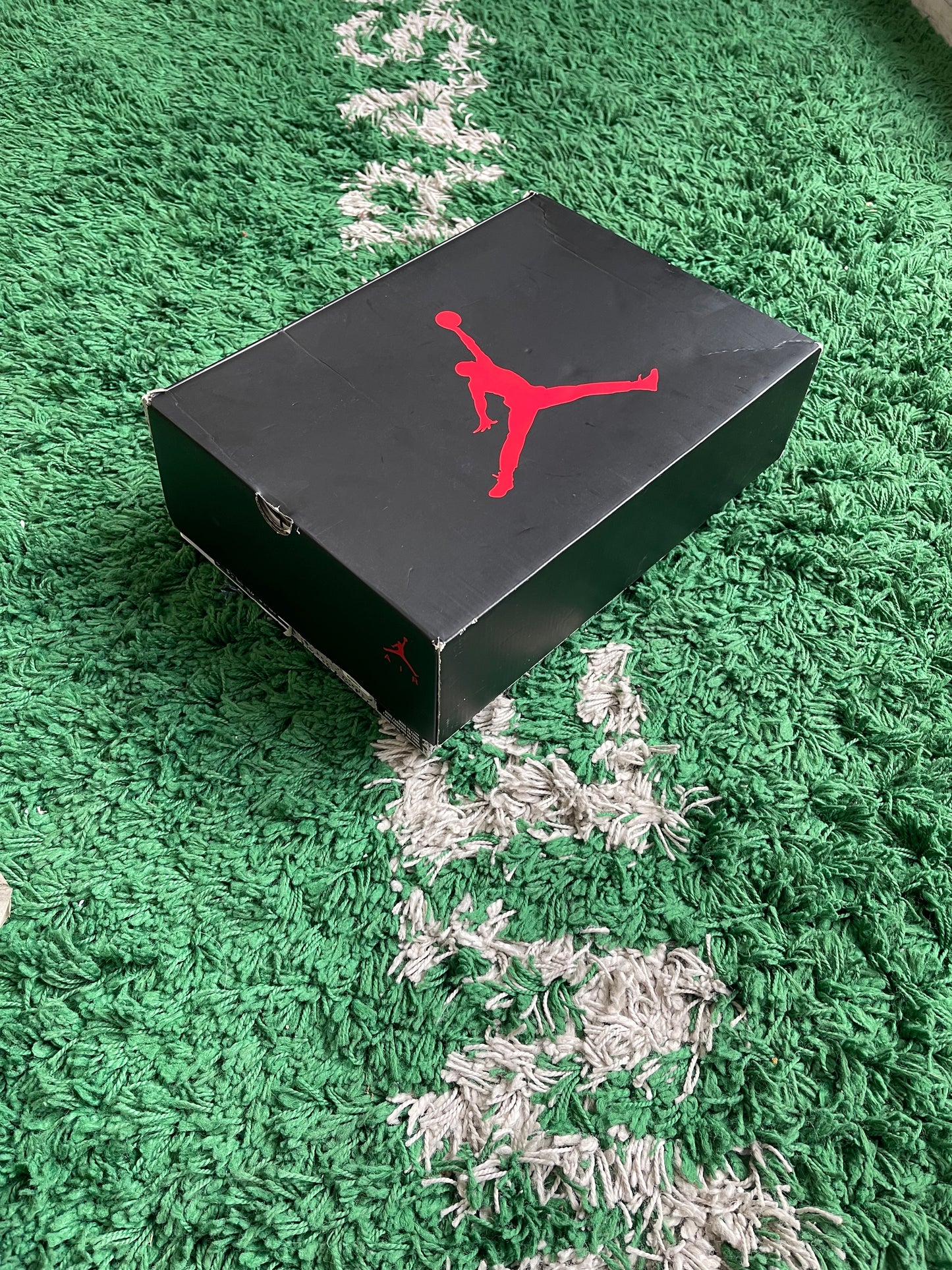 Jordan 6 “Electric Green”