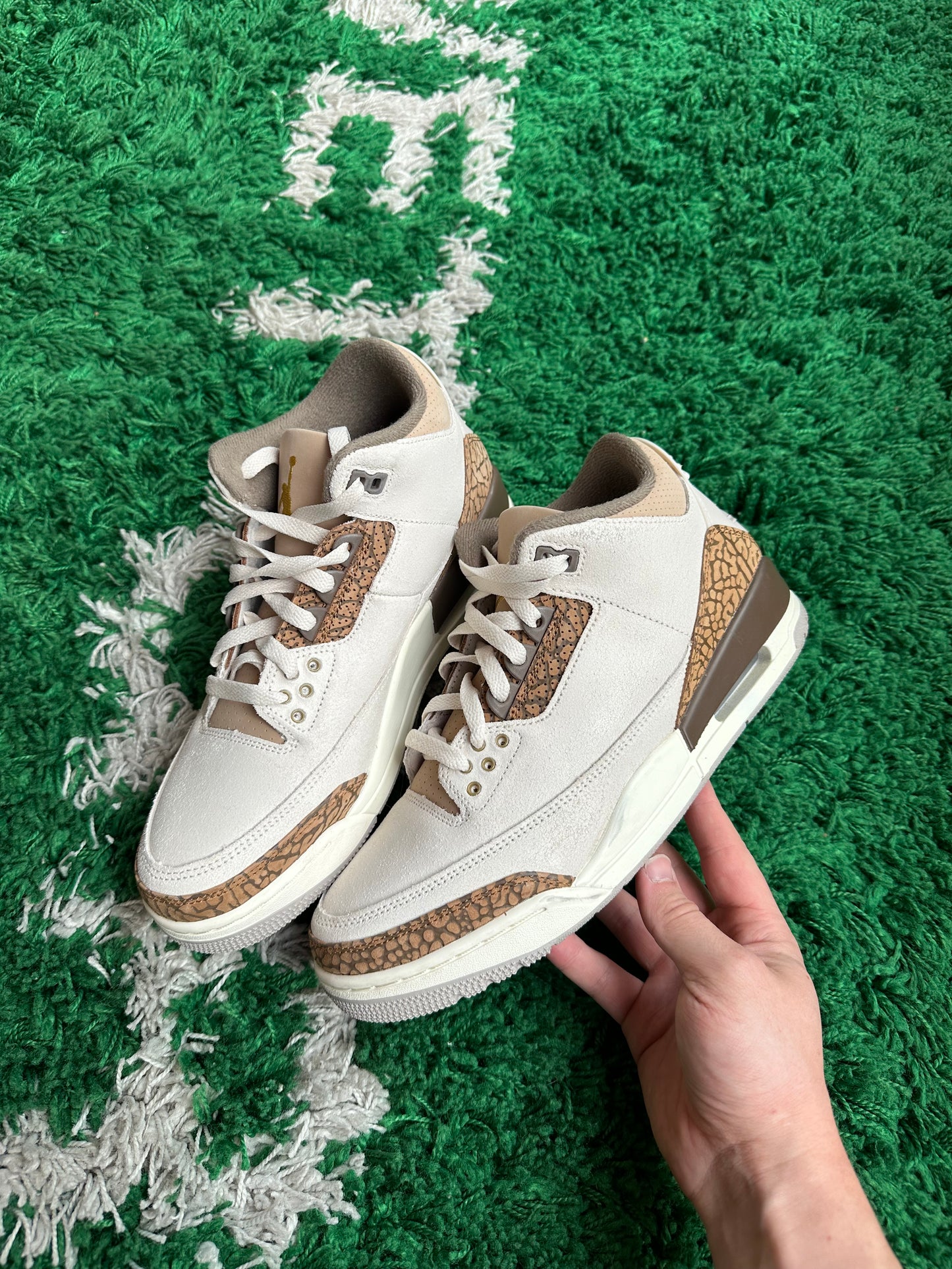 Jordan 3 “Palomino”