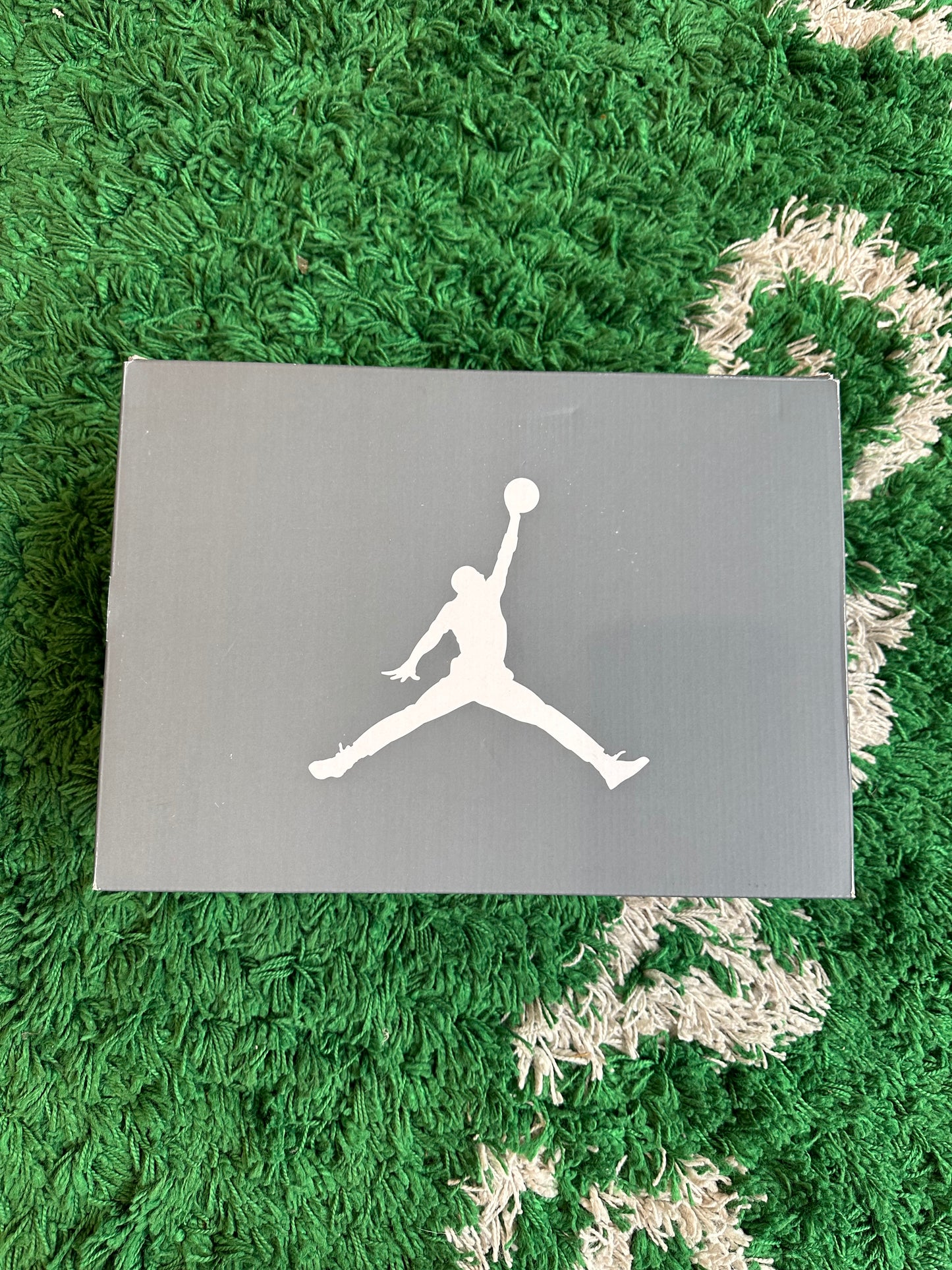 Jordan 6 “Cool Grey”