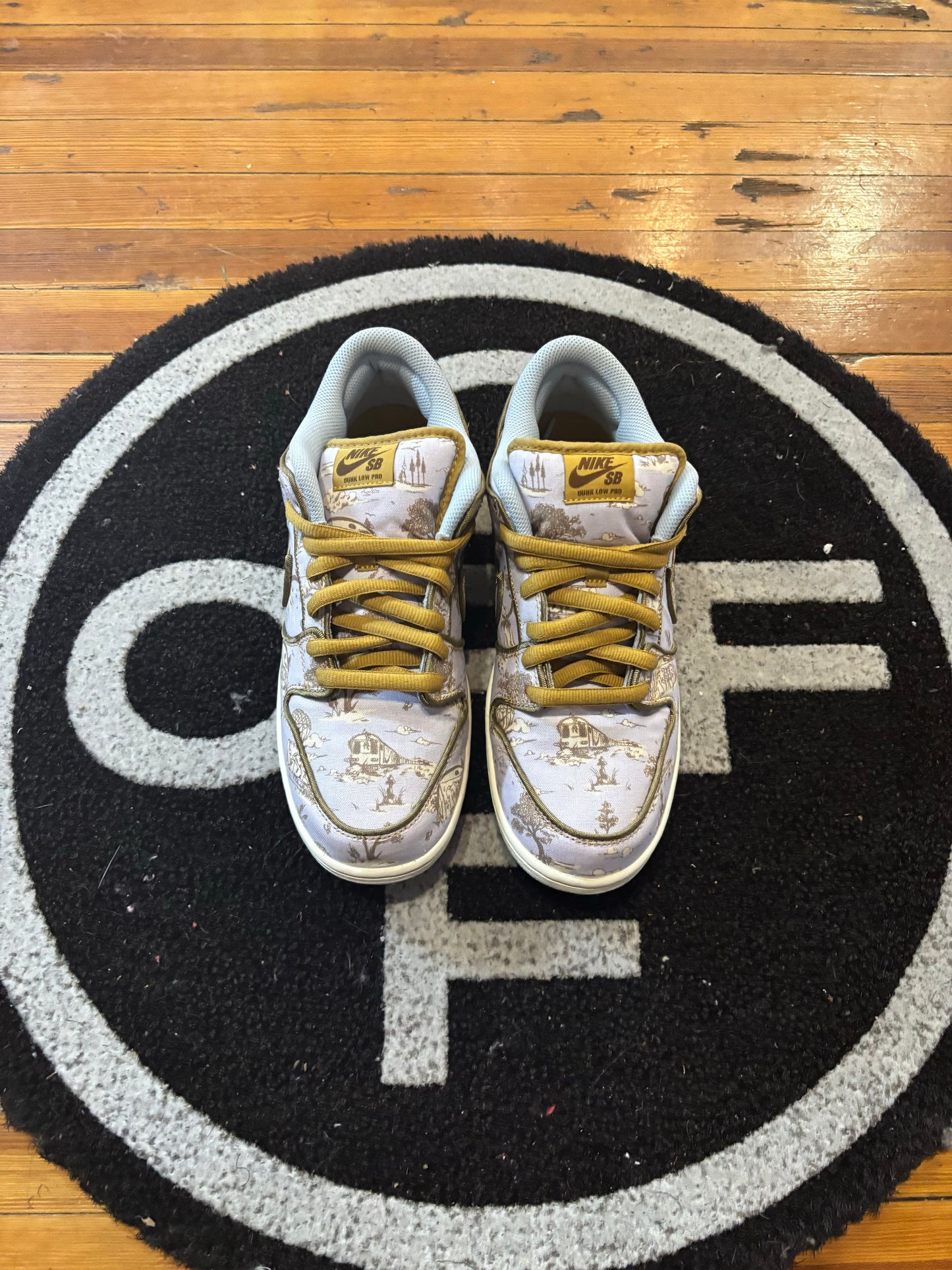 Nike Dunk Low SB “City of Style”