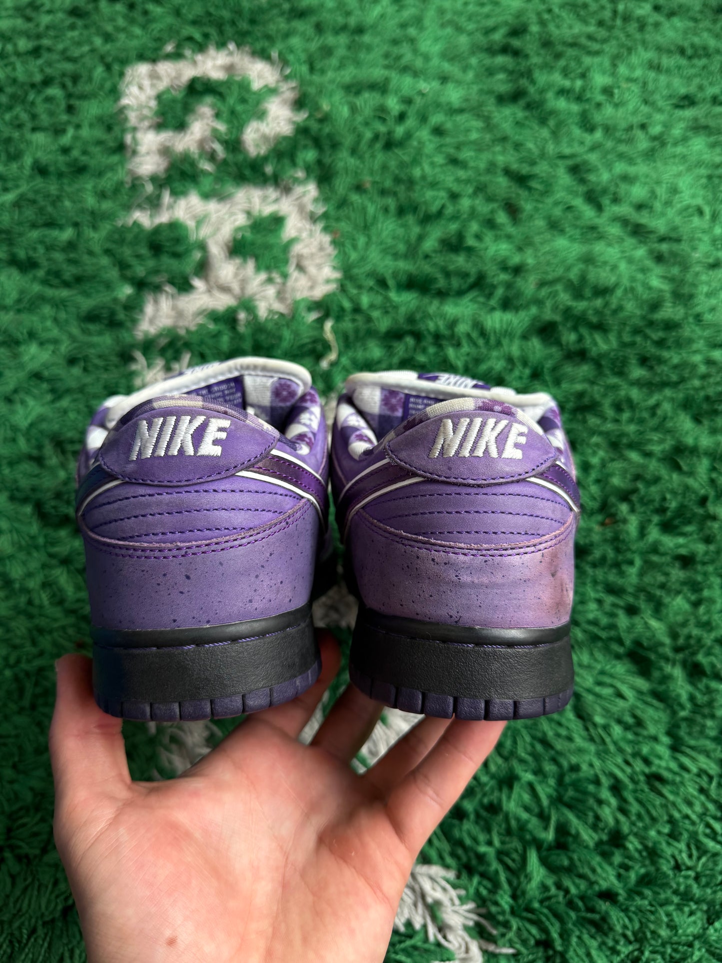Nike Dunk Low SB x Concepts “Purple Lobster”