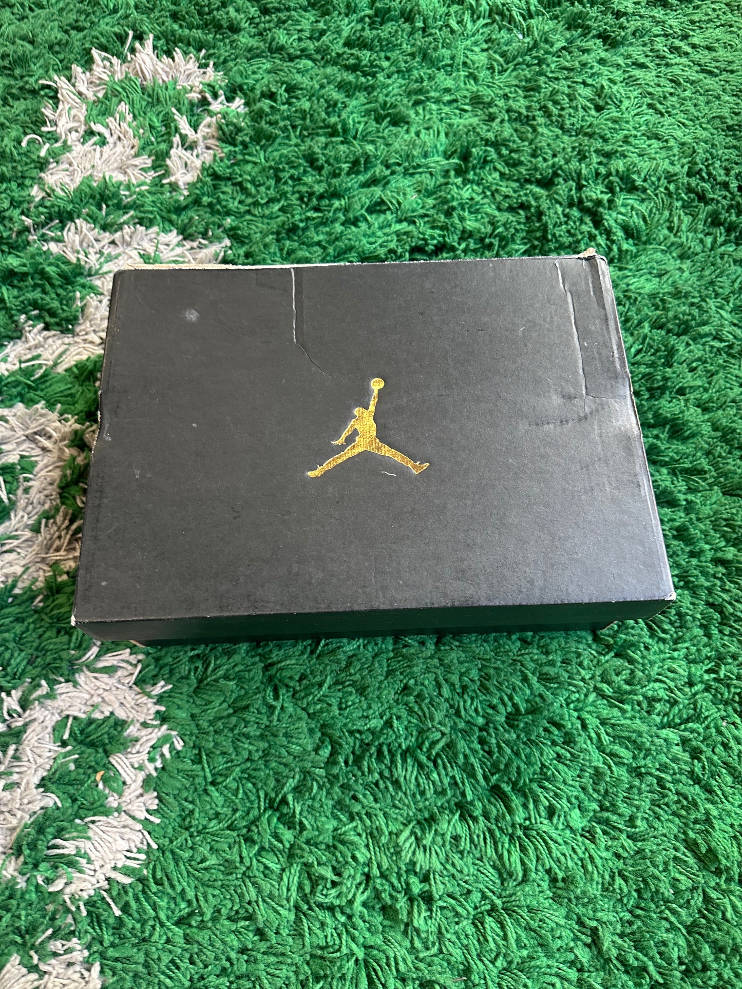 Jordan 12 “Field Purple”