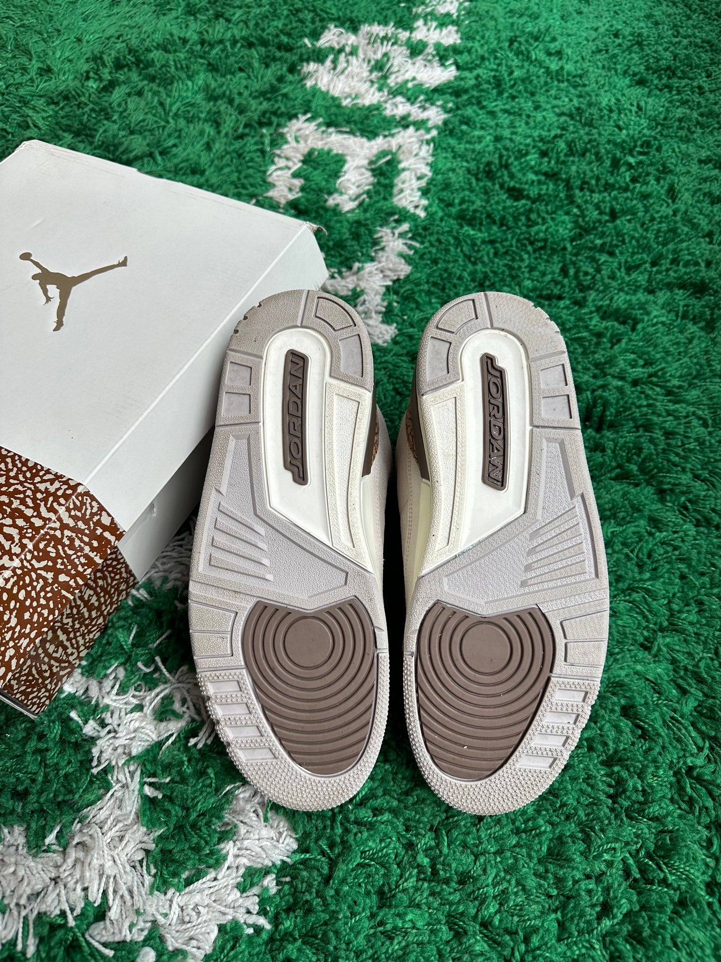 Jordan 3 “Palomino”