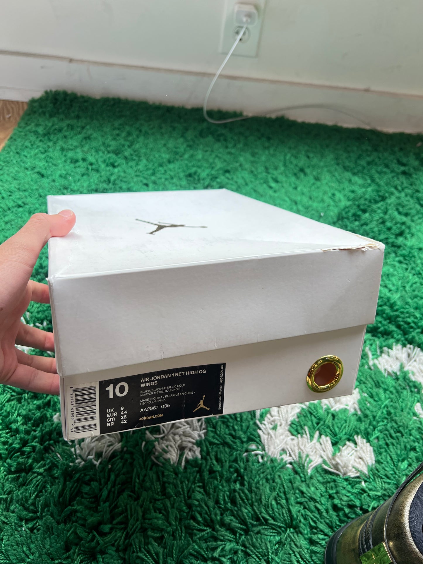 Jordan 1 High “Wings”