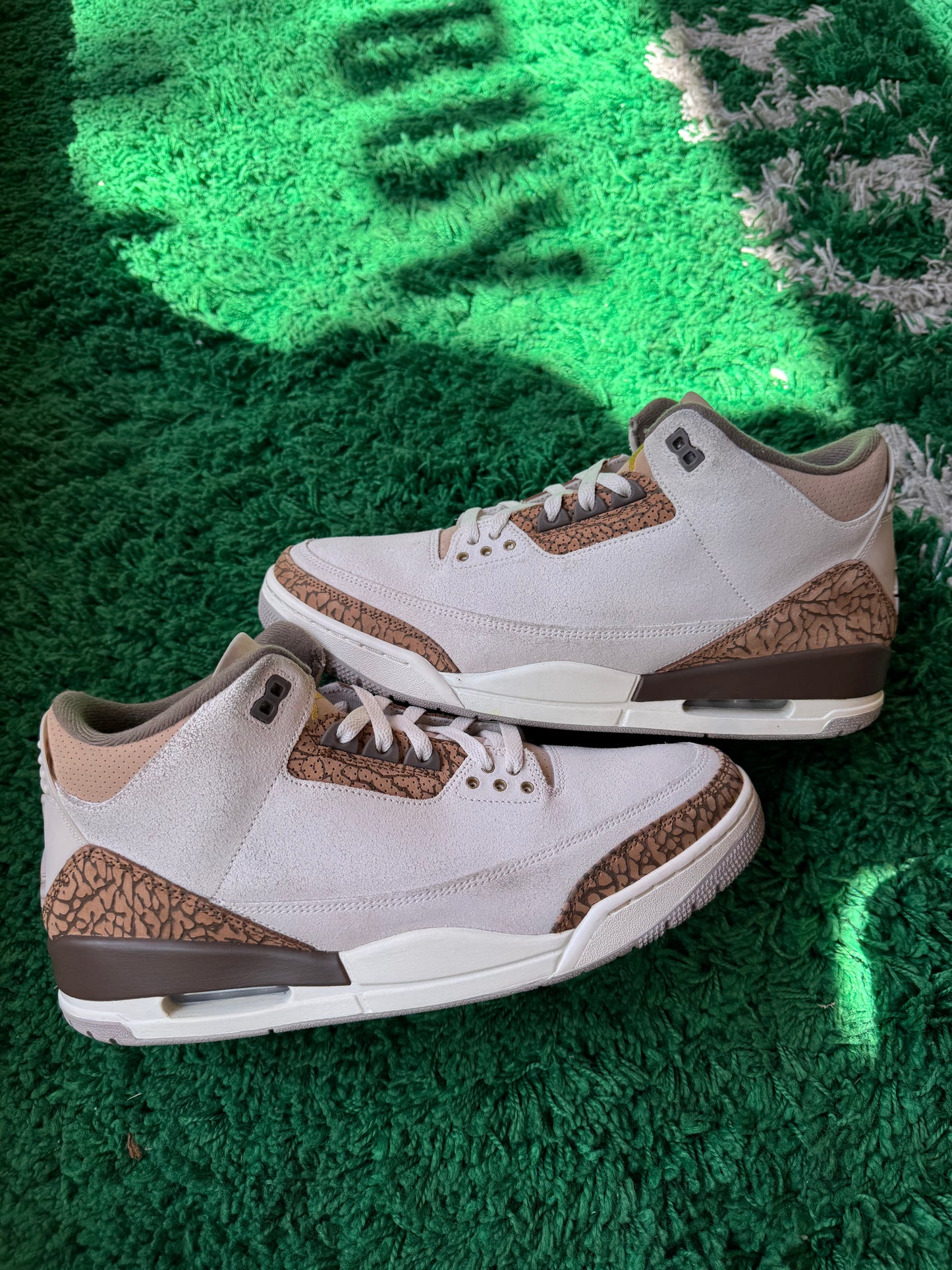Jordan 3 “Palomino”