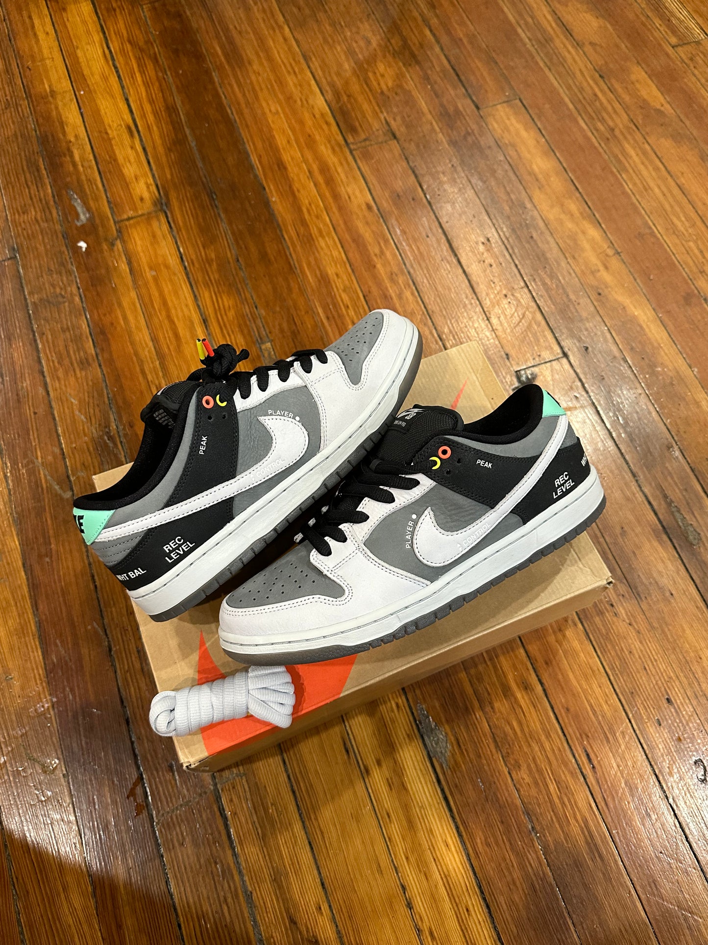 Nike SB Dunk Low “Camcorder”