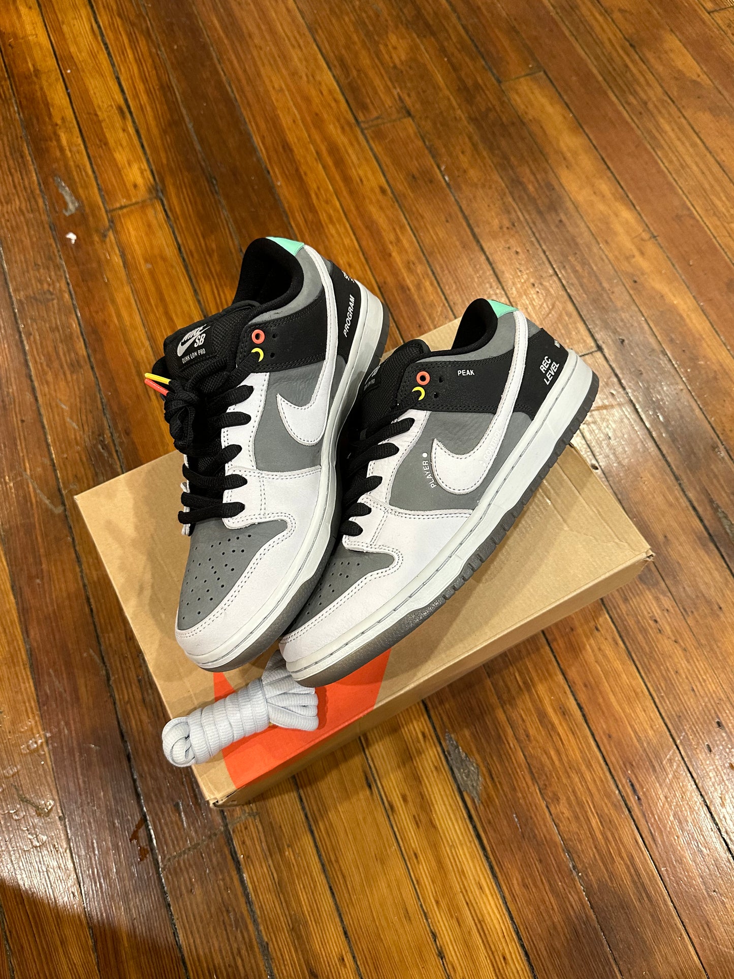 Nike SB Dunk Low “Camcorder”
