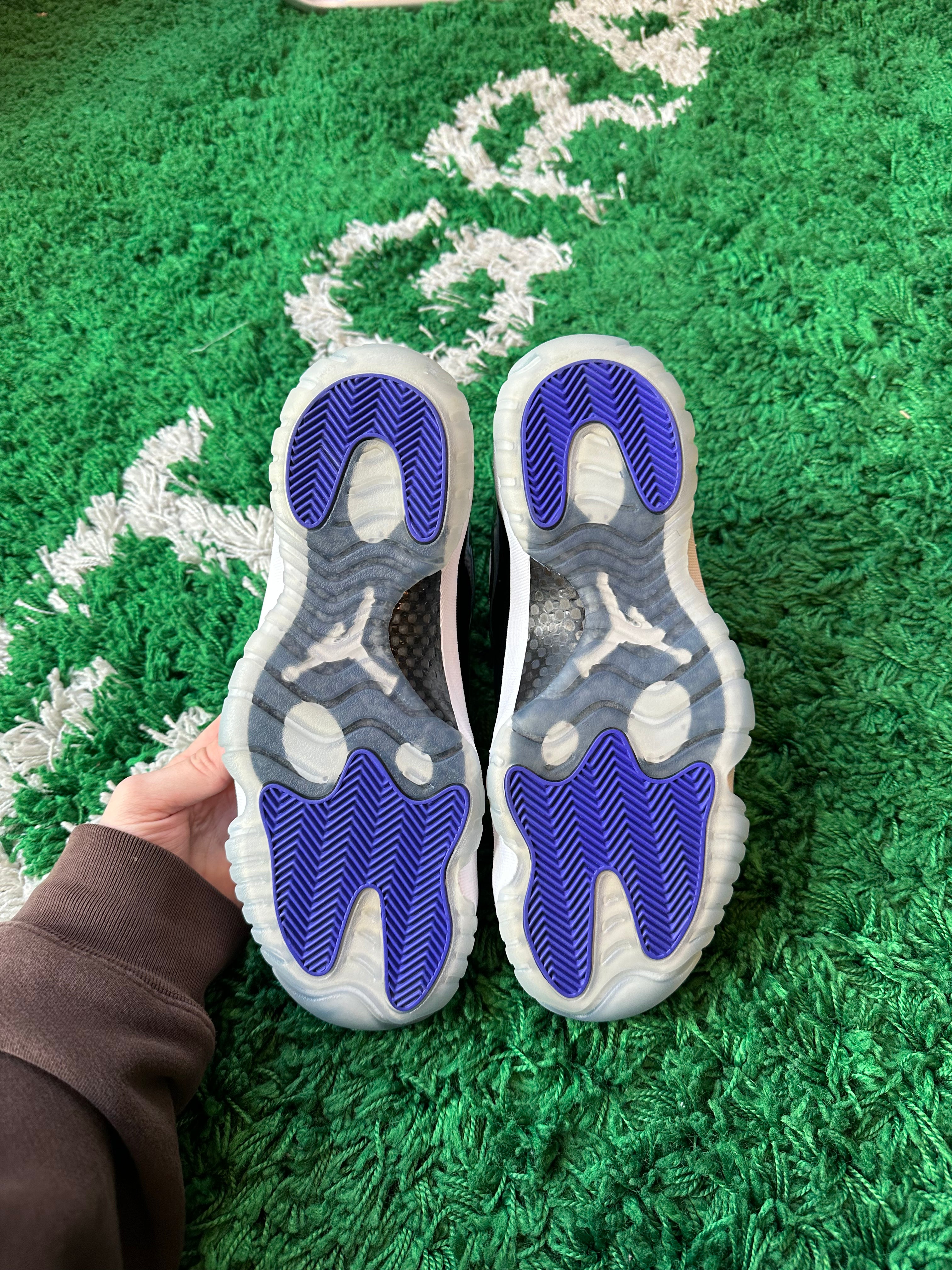 Jordan 11 “Concord”