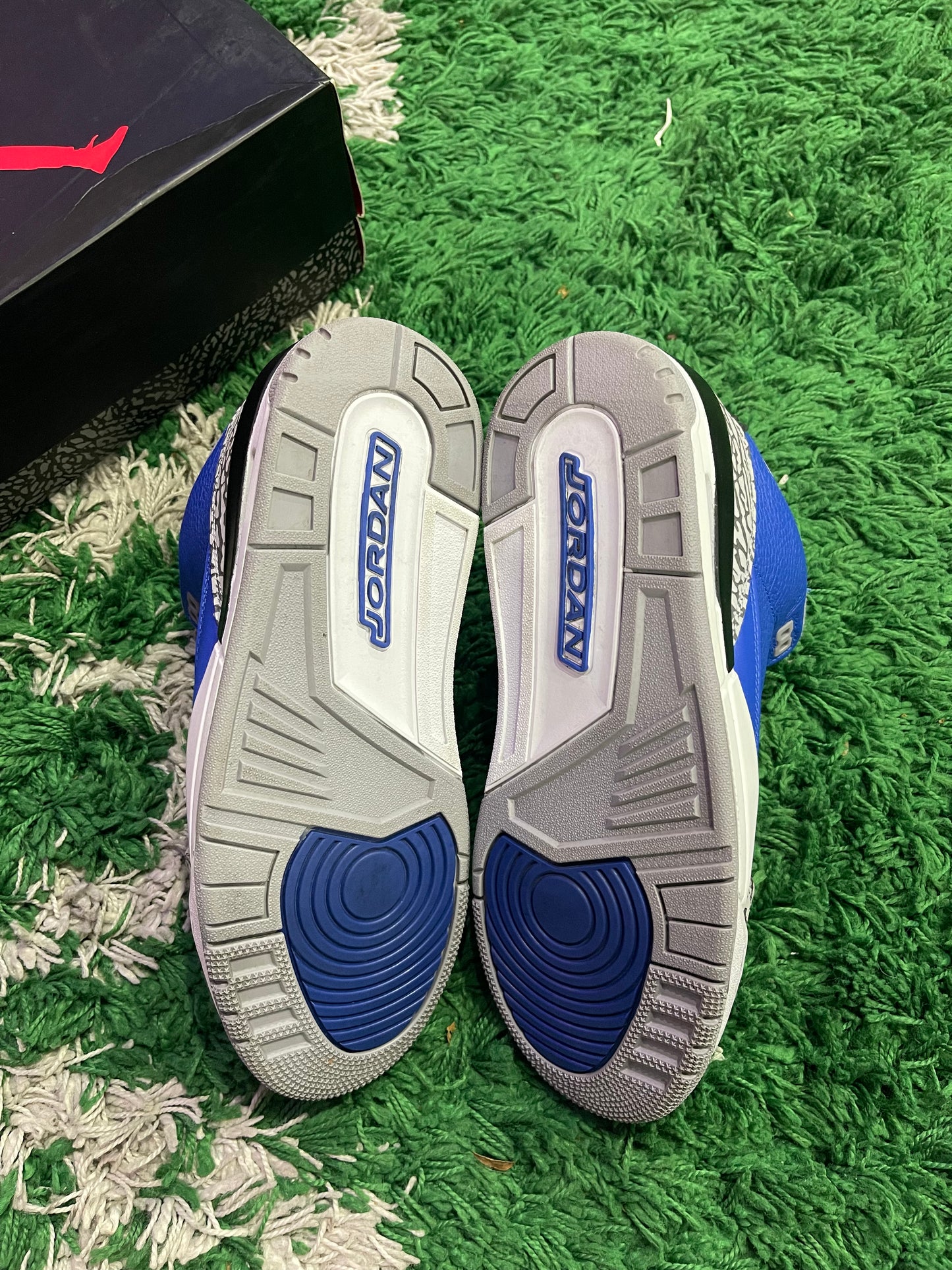 Jordan 3 “Varsity Royal Cement”