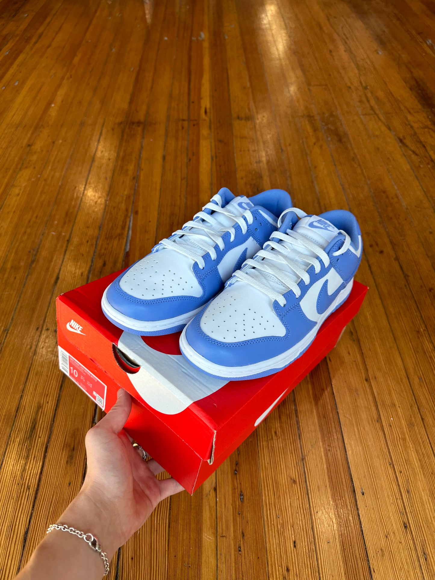 Nike Dunk Low “Polar Blue”