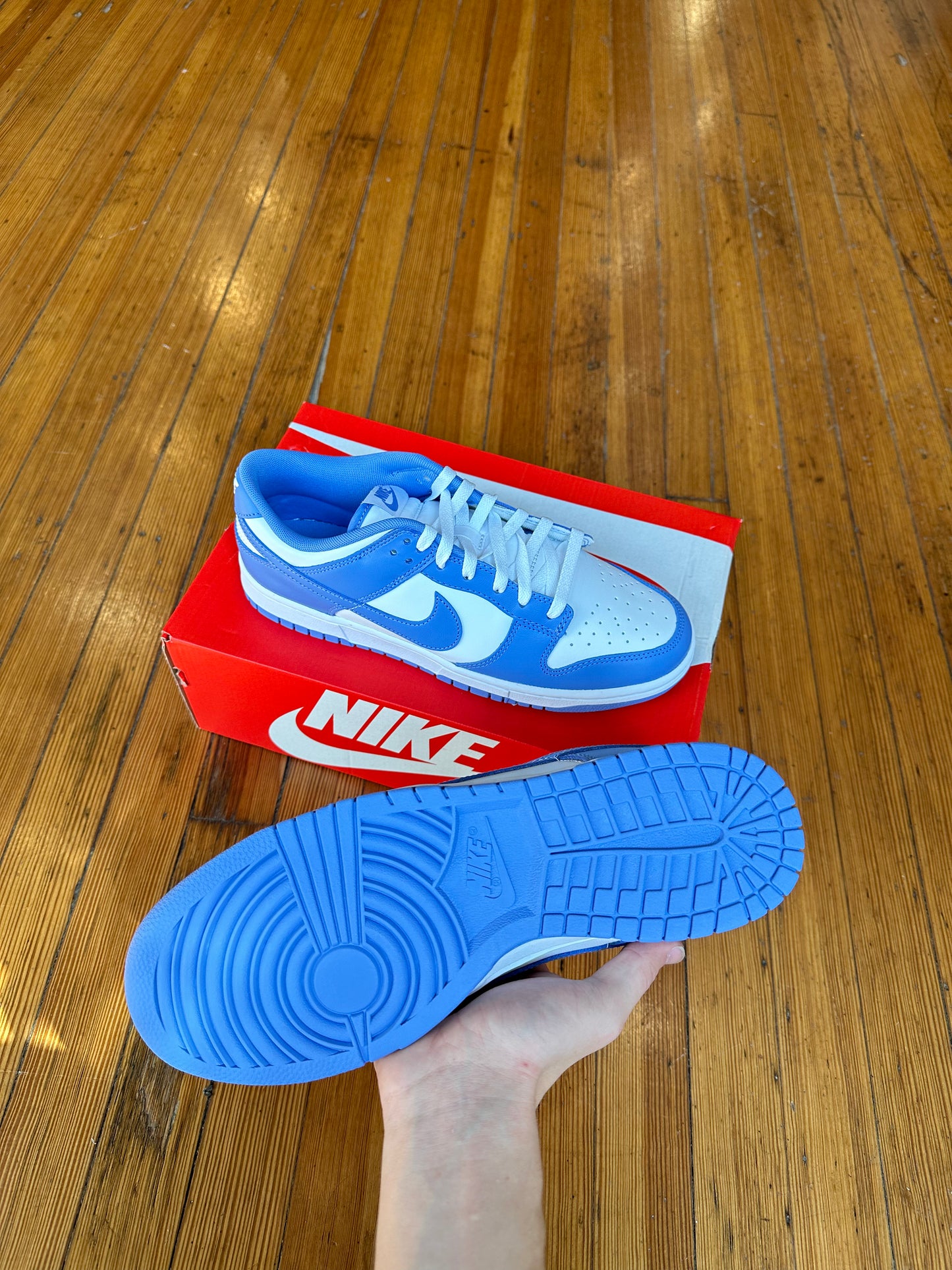Nike Dunk Low “Polar Blue”