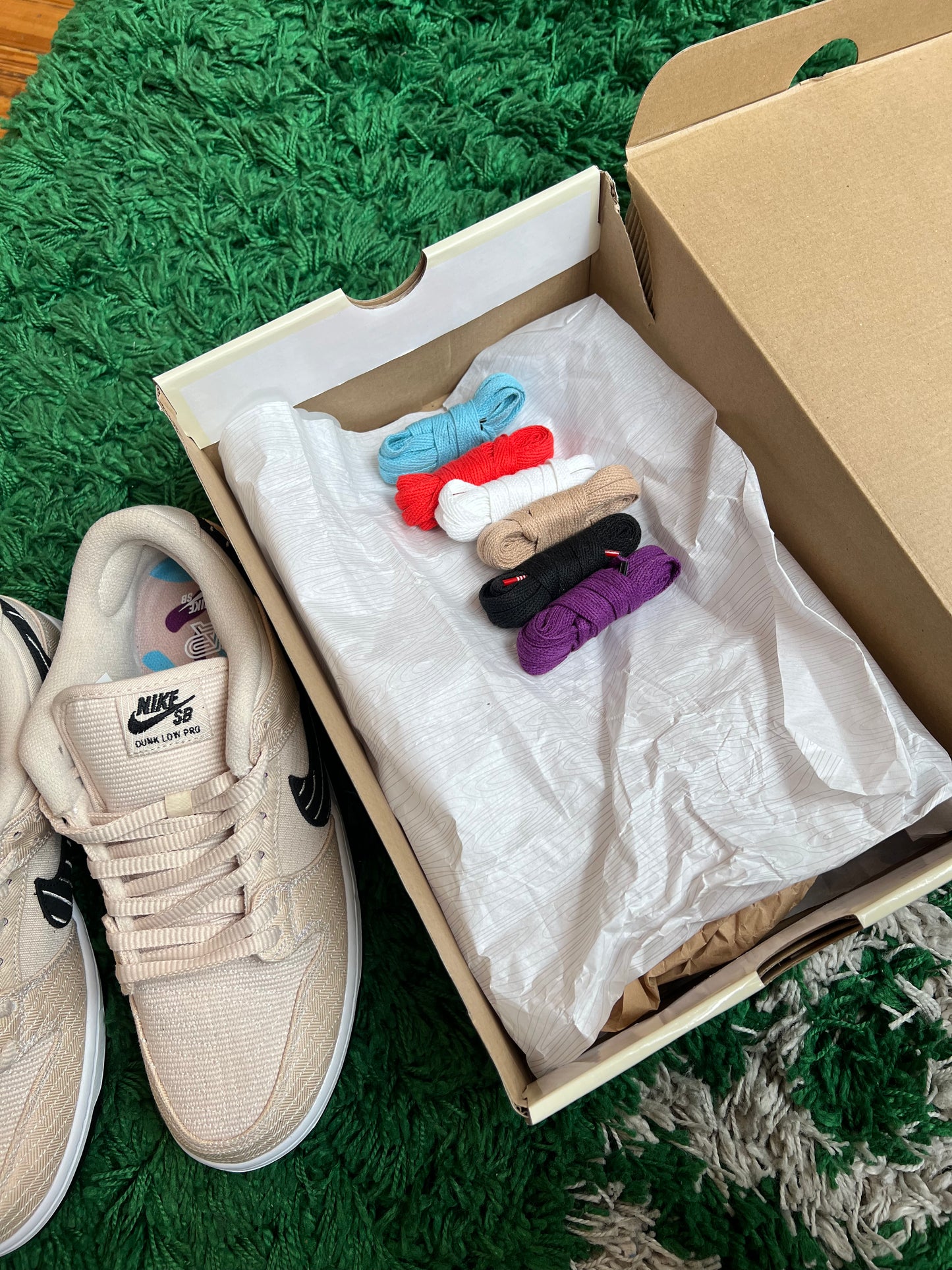 Nike SB Dunk Low “Albino & Preto”