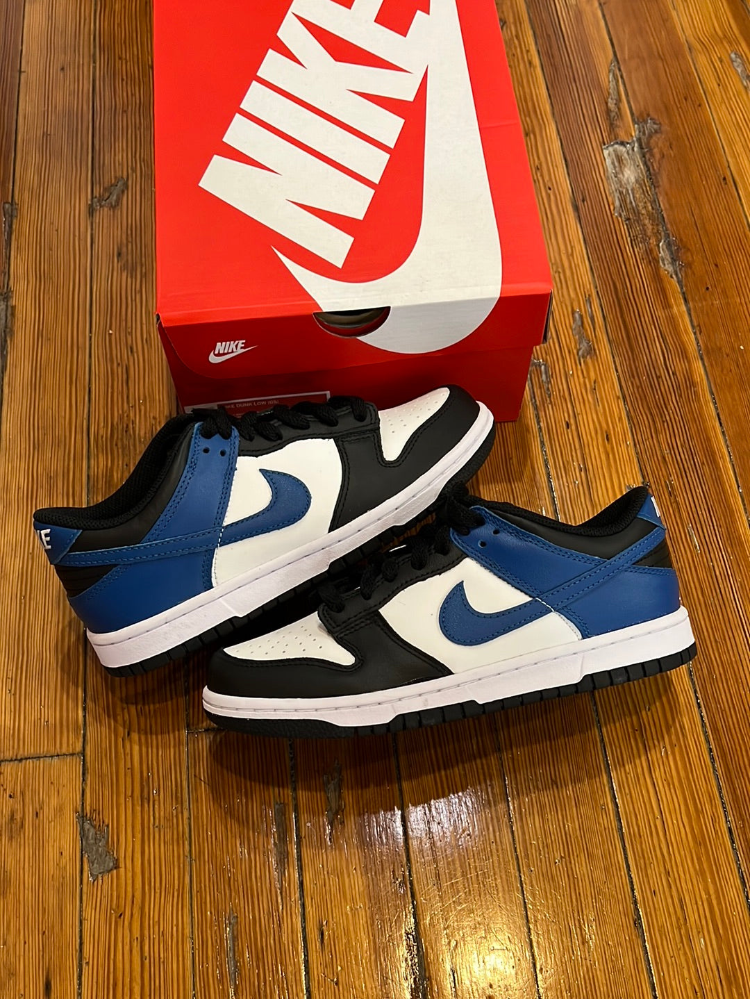 dunk lows dark blue