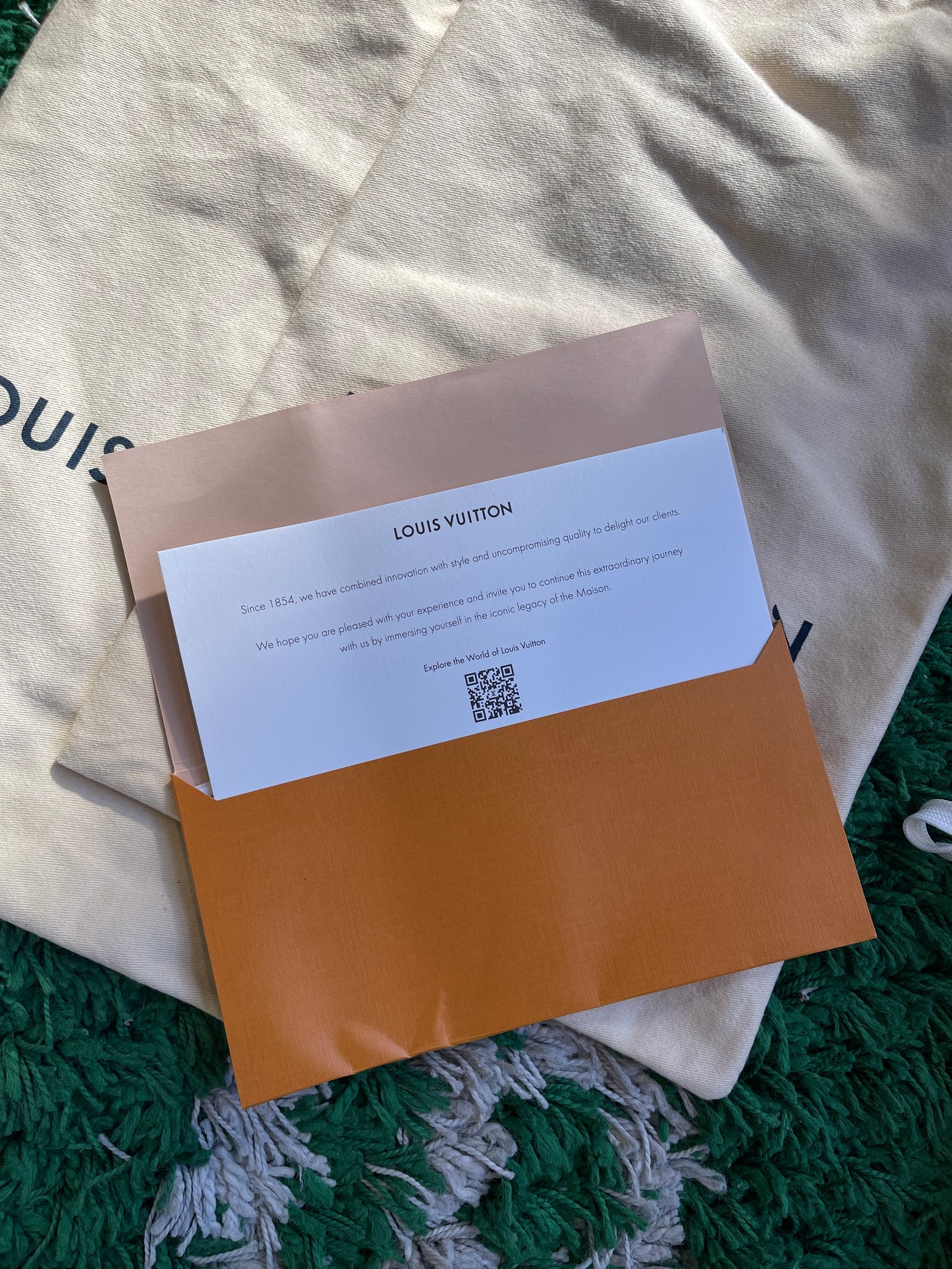 Louis Vuitton Trainer “Grey/Black”