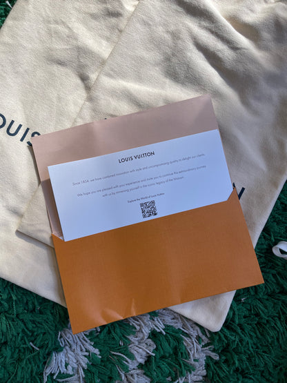 Louis Vuitton Trainer “Grey/Black”