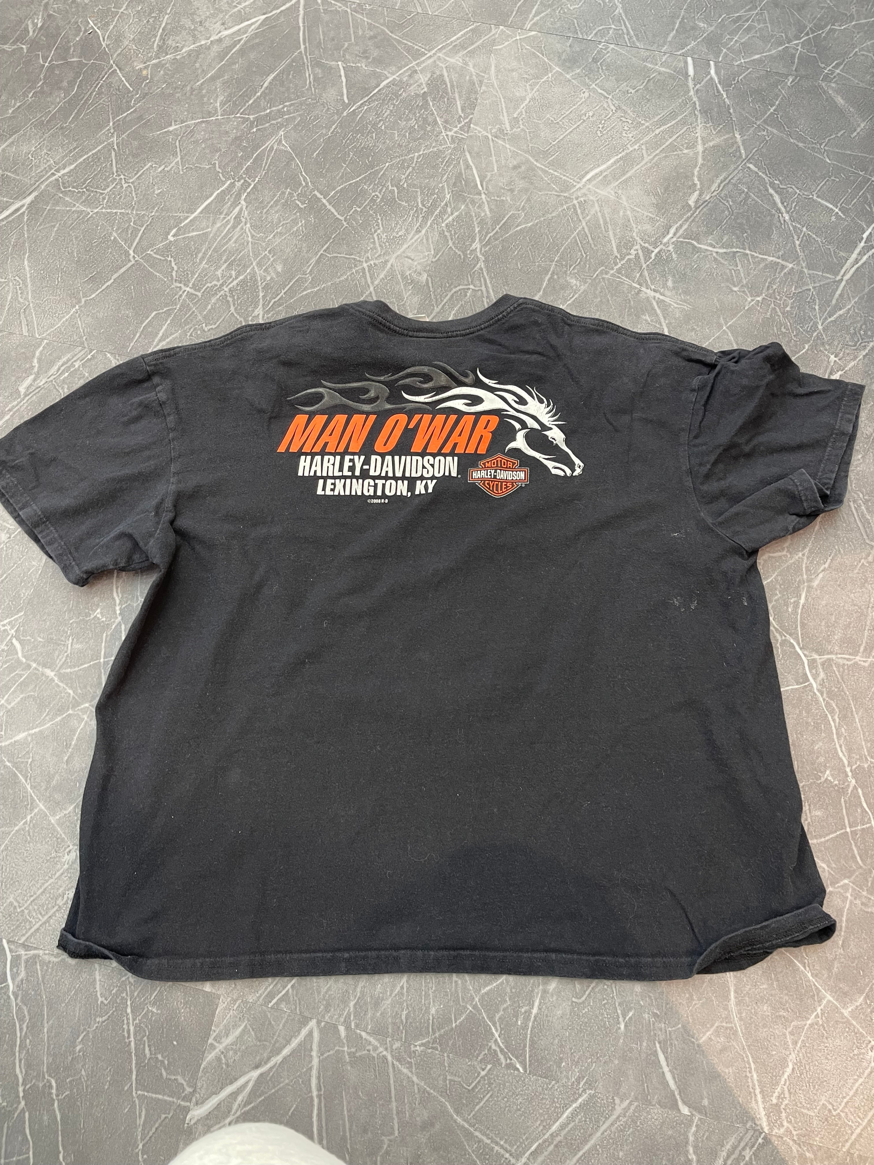 Harley Davidson Legendary Wolf Fire Graphic Tee (XL)