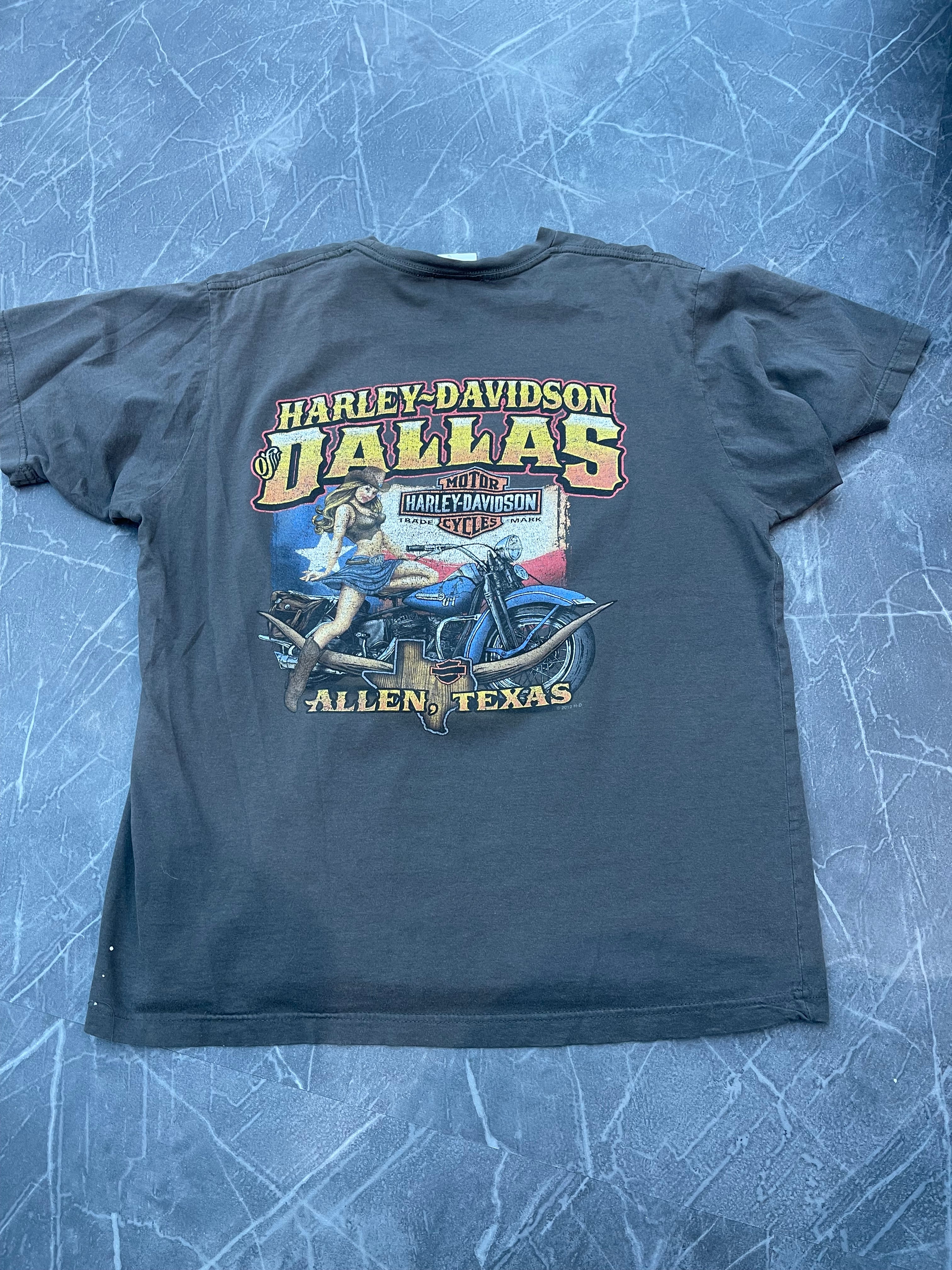 Harley Davidson Allen Texas Tee 2012 (L)