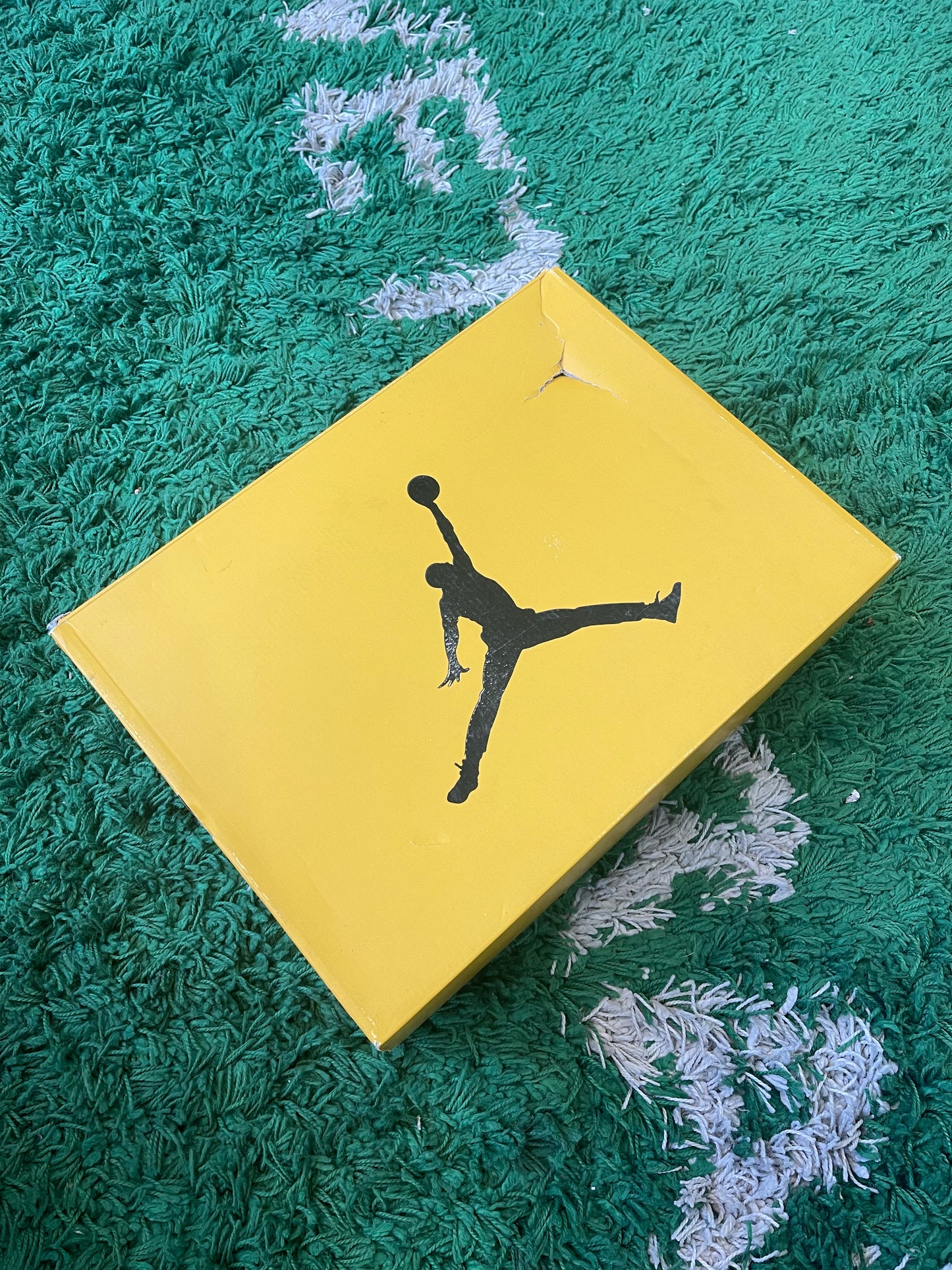 Jordan 6 “Yellow Ochre”
