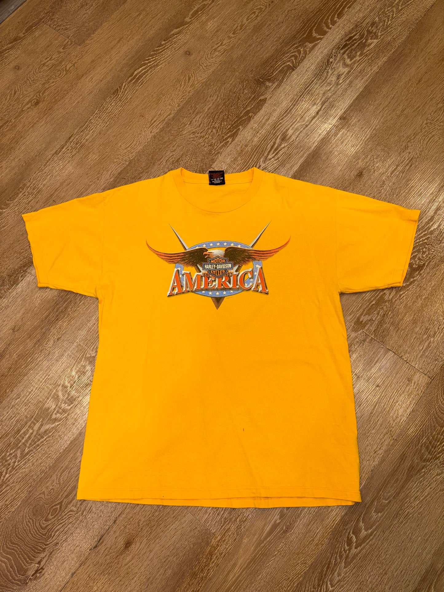 2002 Harley Davidson Eagle Tee (L)