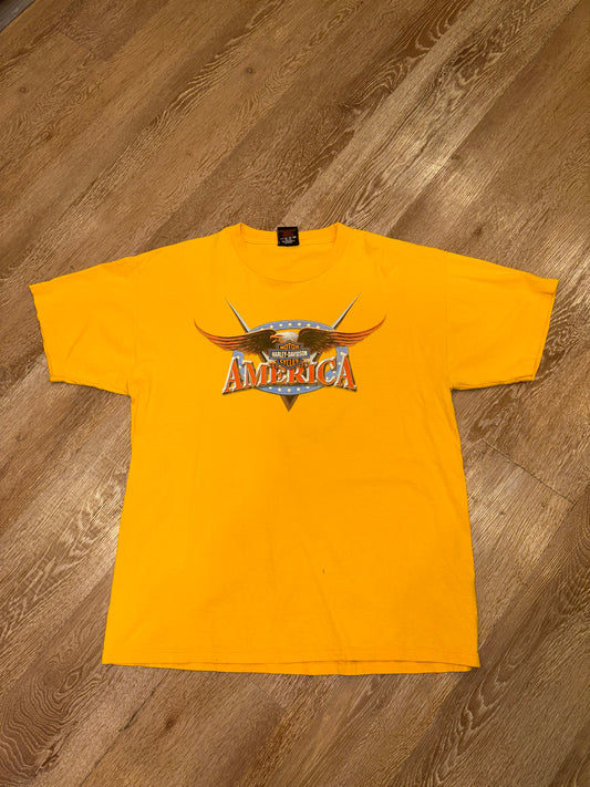2002 Harley Davidson Eagle Tee (L)