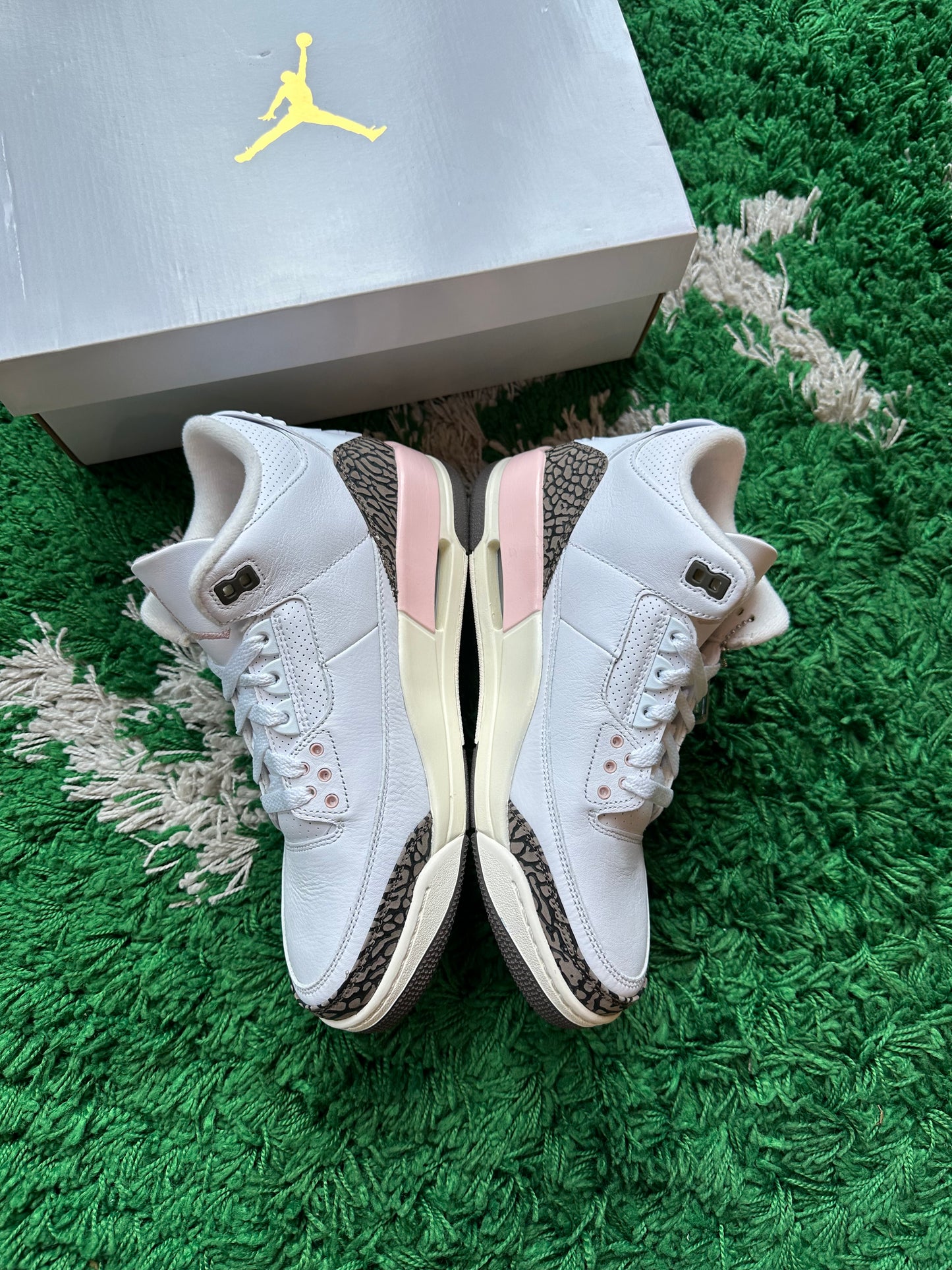 Jordan 3 “Neapolitan”