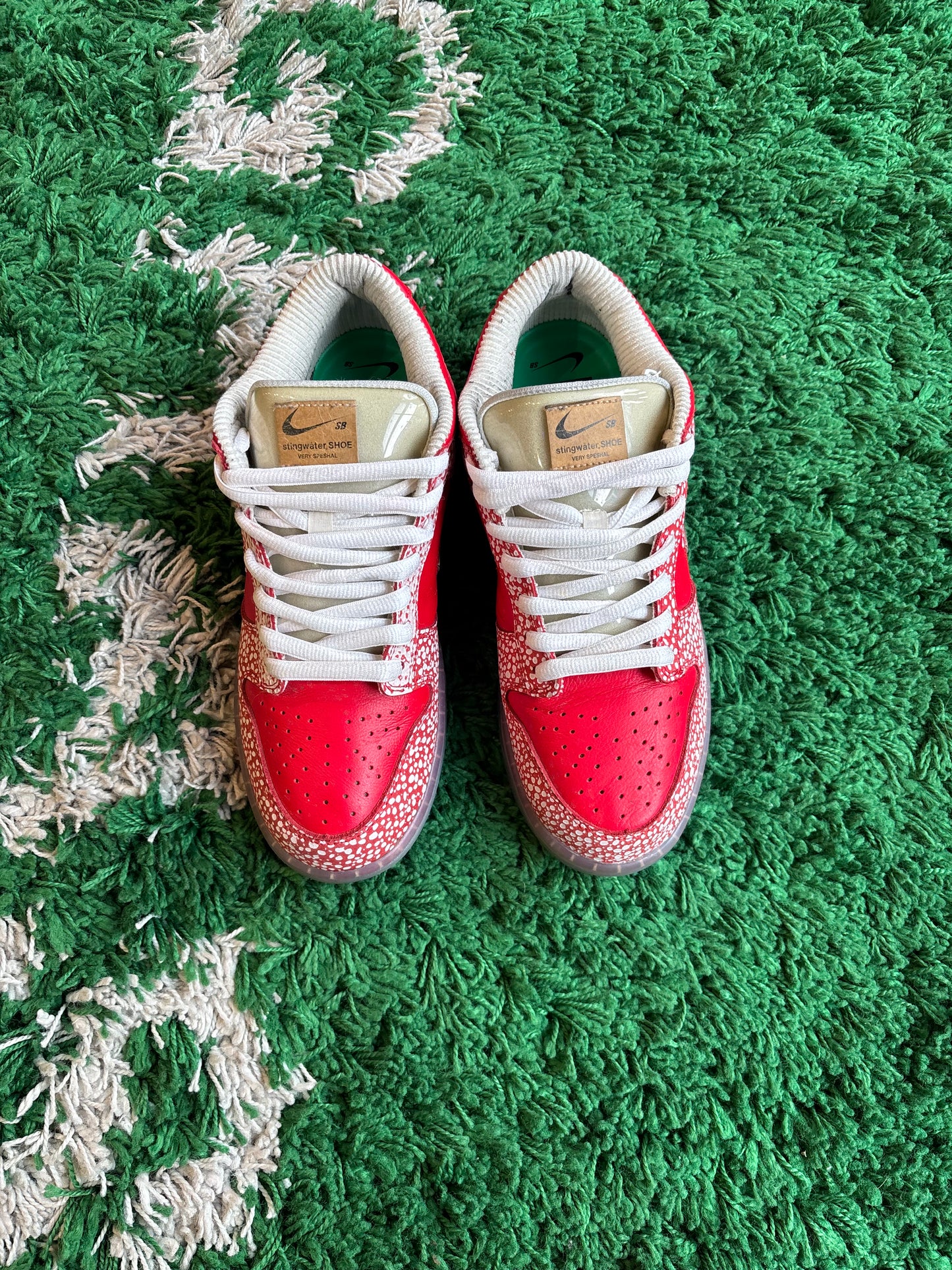 Nike SB Dunk Low “Stingwater Magic Mushroom”