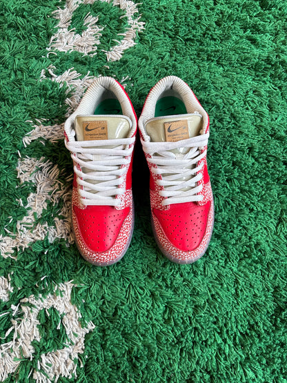 Nike SB Dunk Low “Stingwater Magic Mushroom”