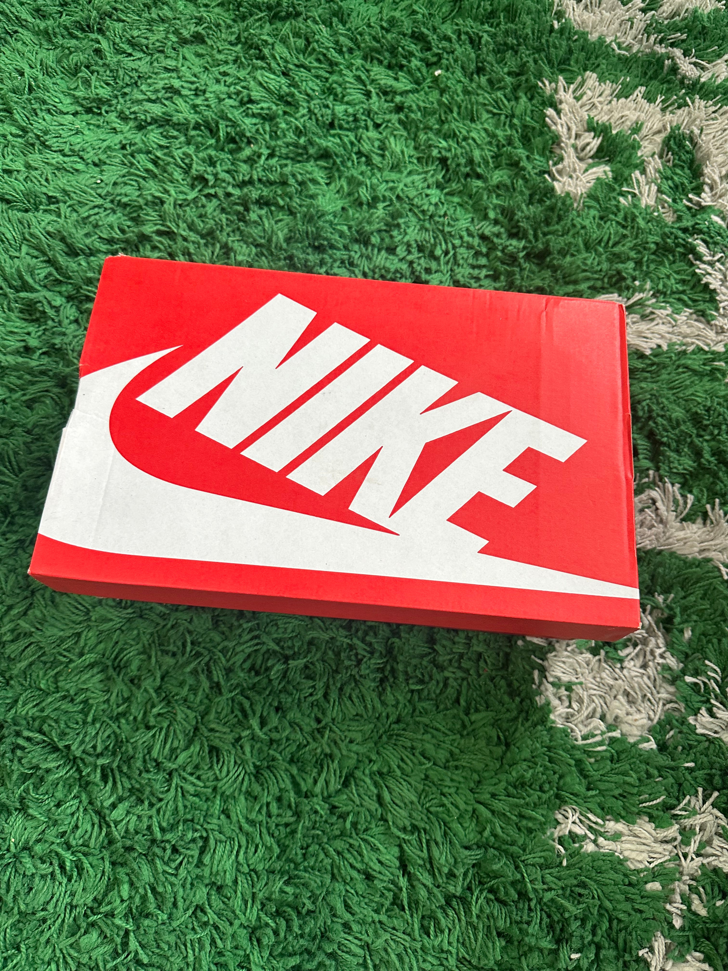 Nike Dunk Low “Panda”