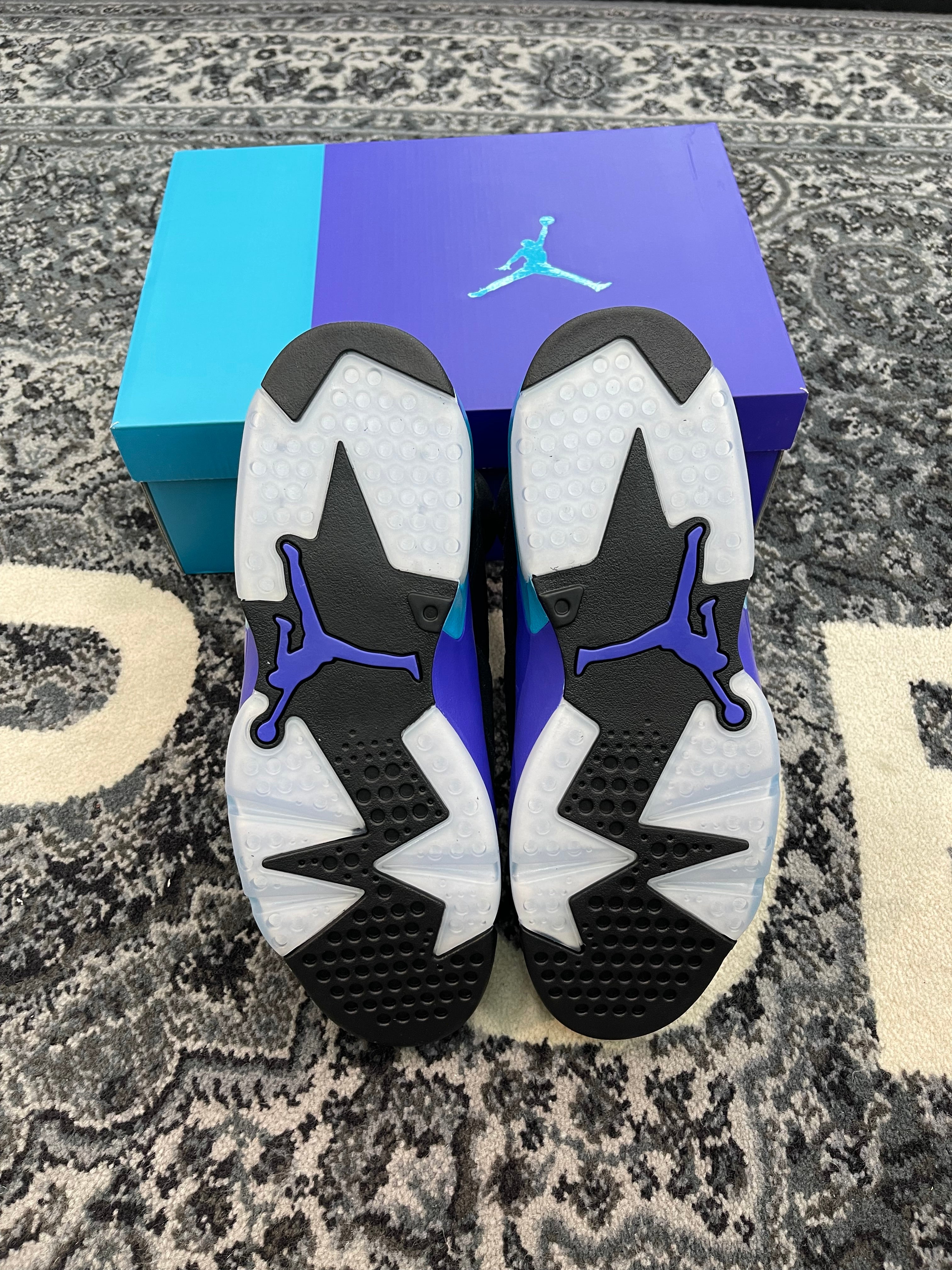 Jordan 6 “Aqua”