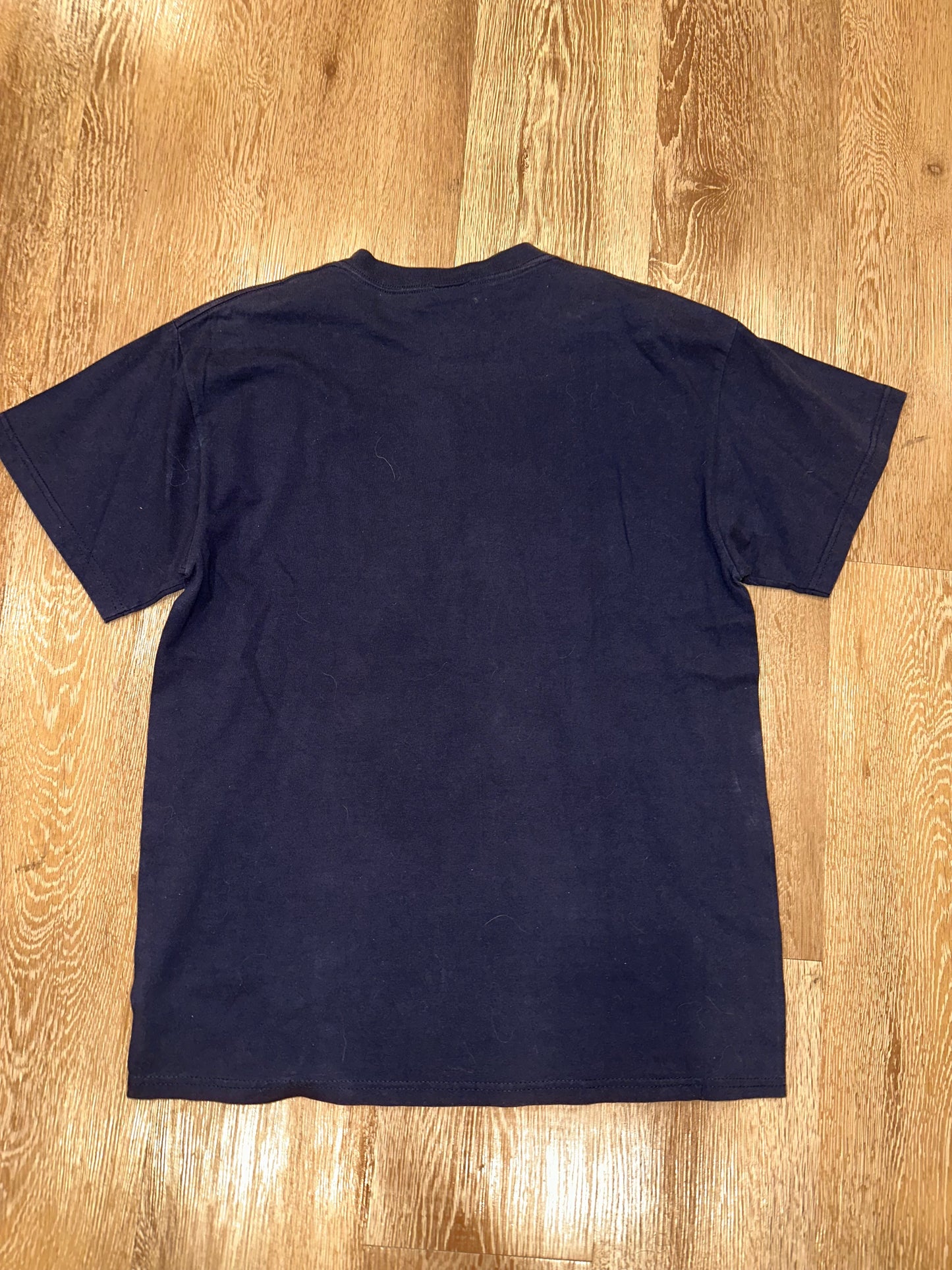 Y2K Dallas Cowboys Delta Pro Weight Rigid Graphic Tee (L)