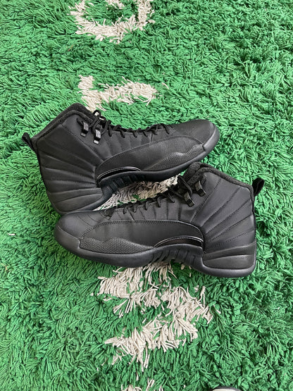 Jordan 12 “Winter Black”