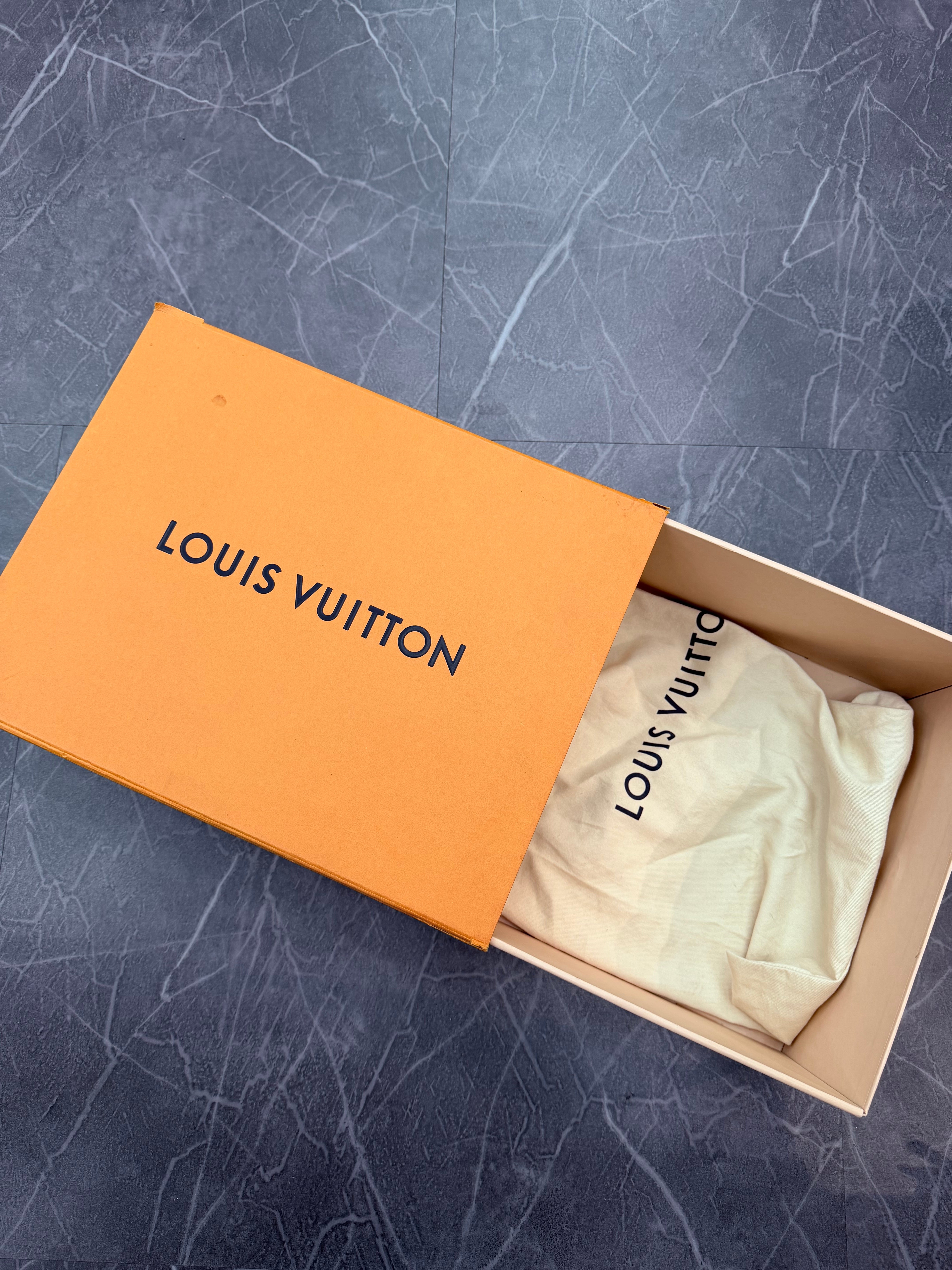 Louis Vuitton Trainer Low Light Blue