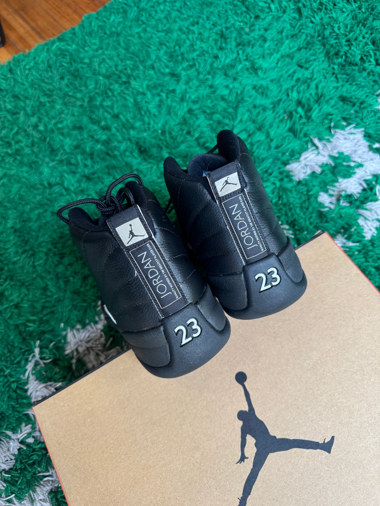 Jordan 12 “The Master”
