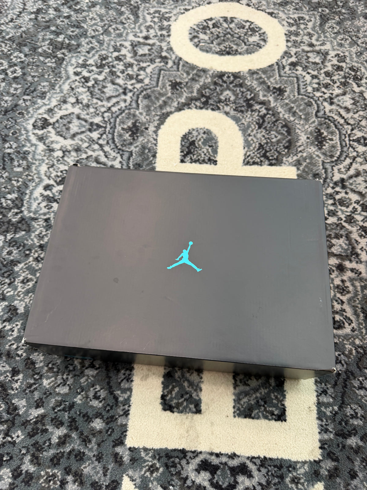 Jordan 11 “Gamma”