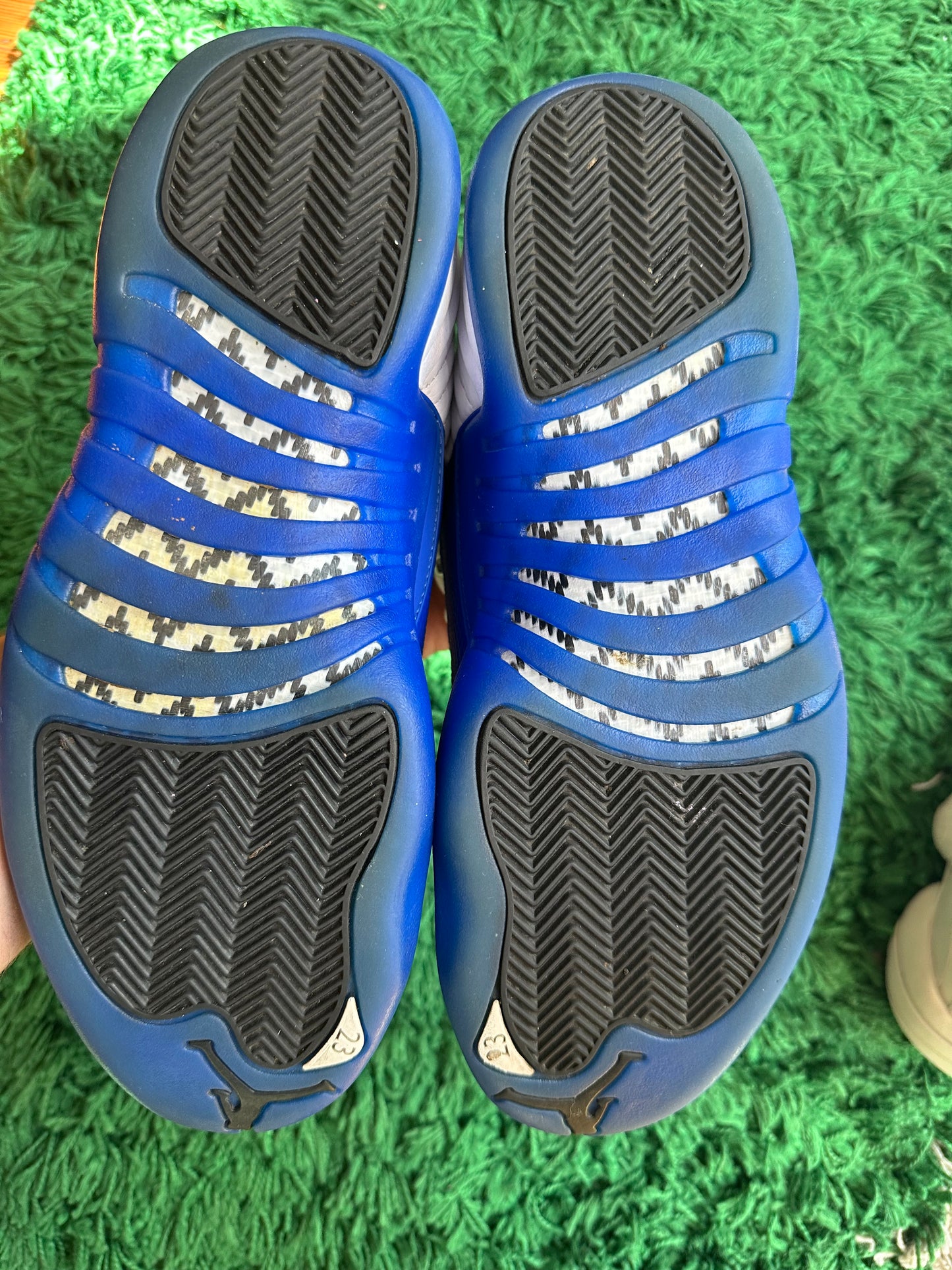 Jordan 12 “Blueberry”