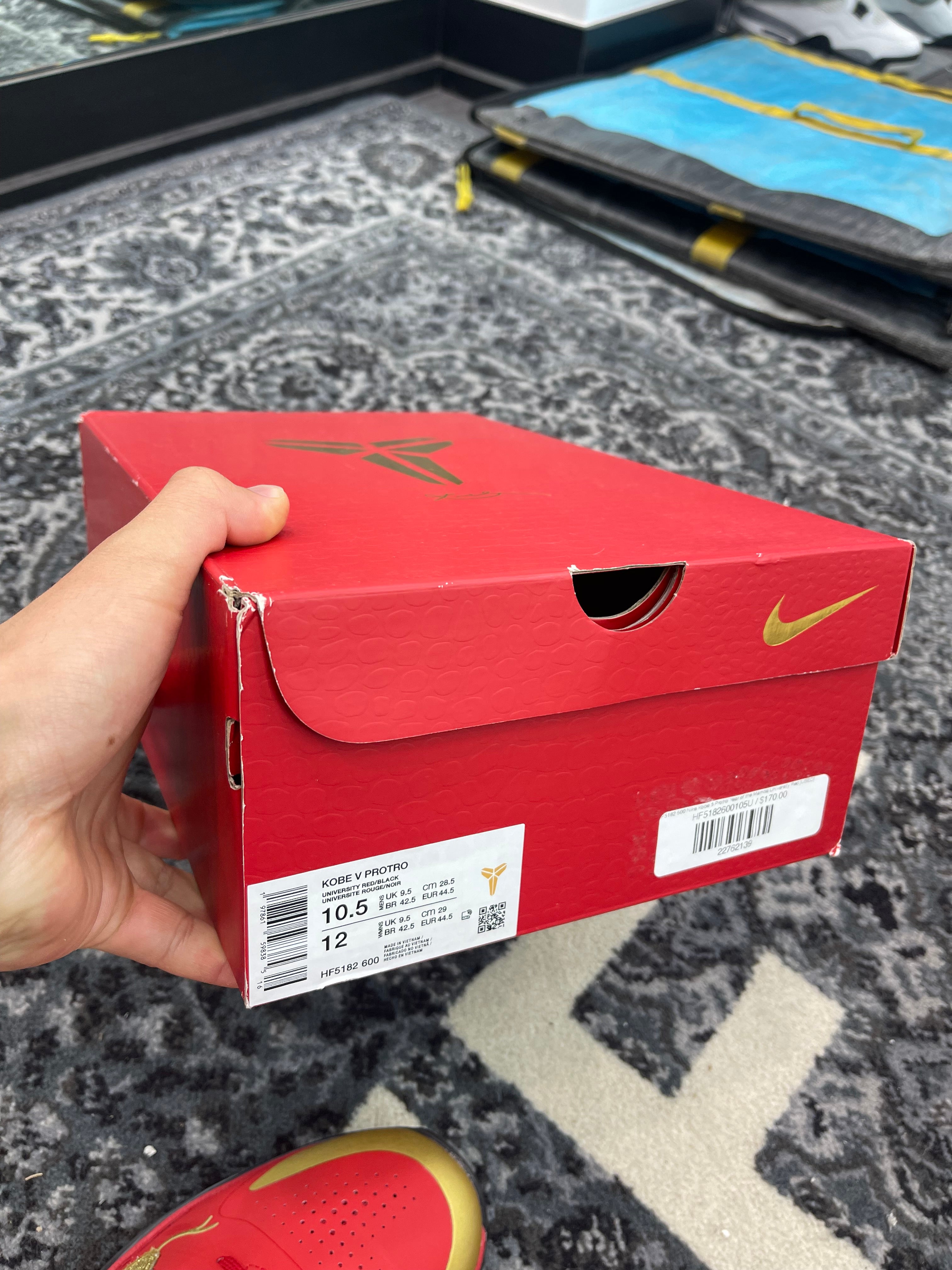 Kobe 5 Protro Year of the Mamba “University Red”