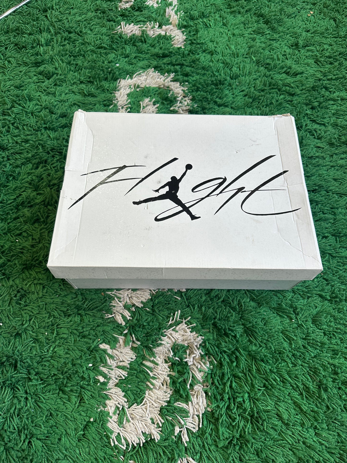 Jordan 4 “White Thunder”