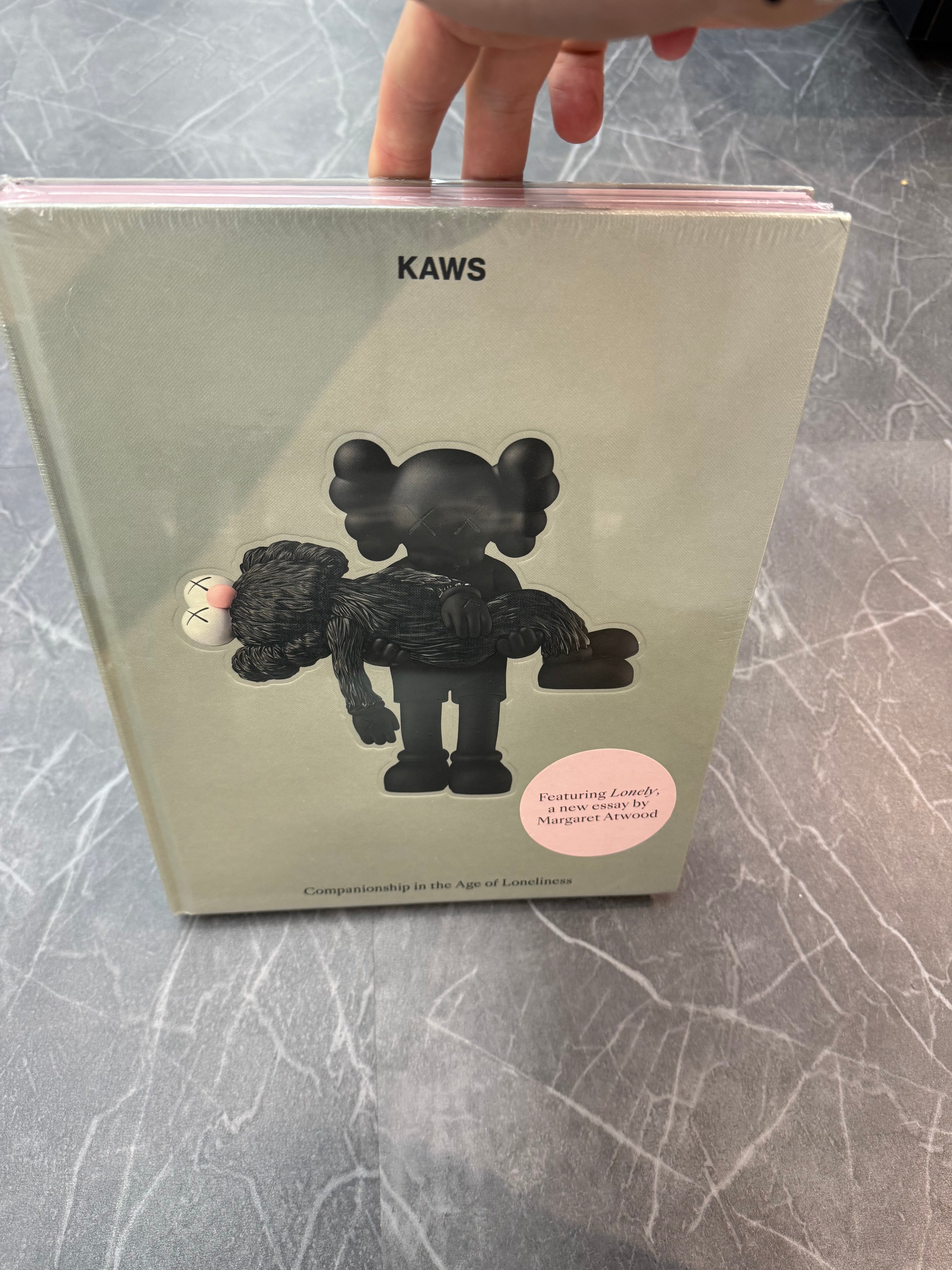KAWS Companionship in The Age of Loneliness Book