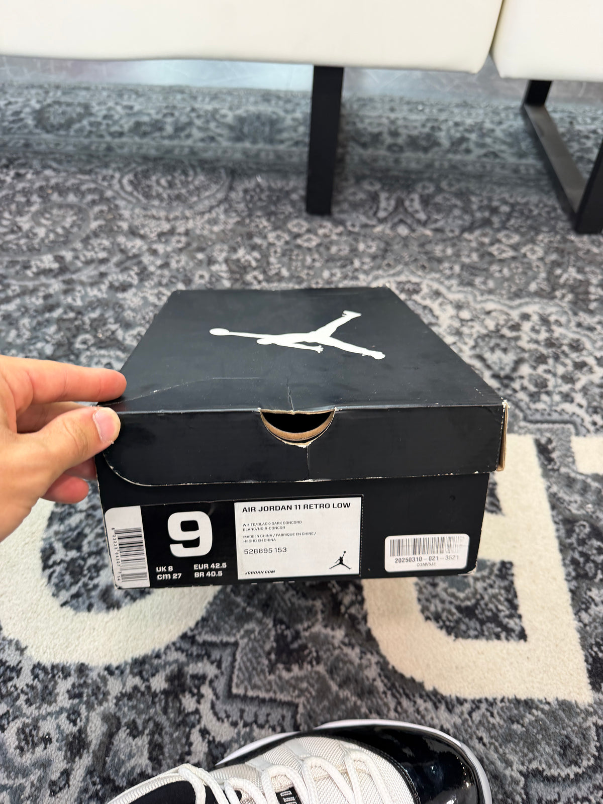Jordan 11 Low “Concord”