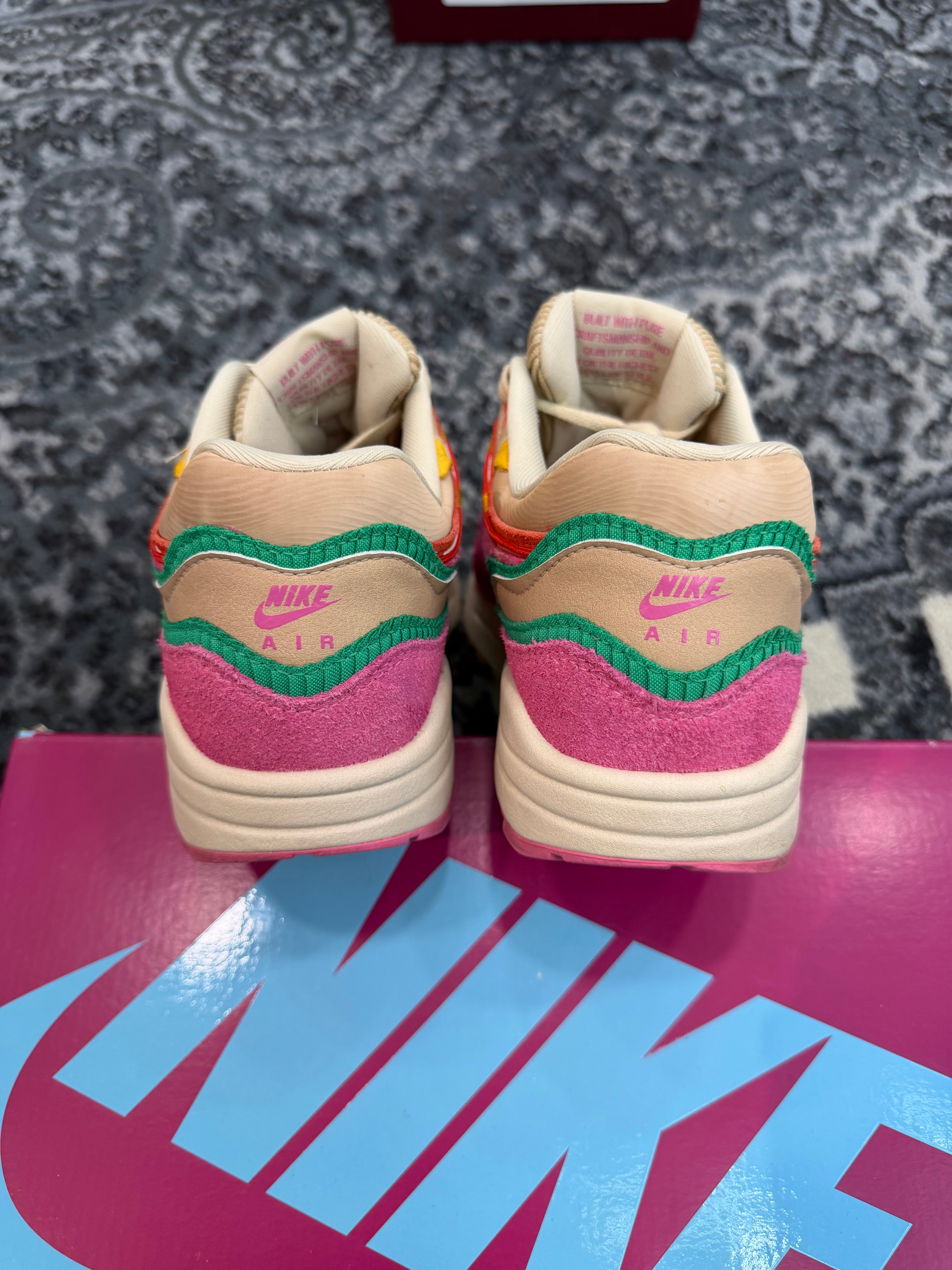 Nike Air Max 1 “Familia”