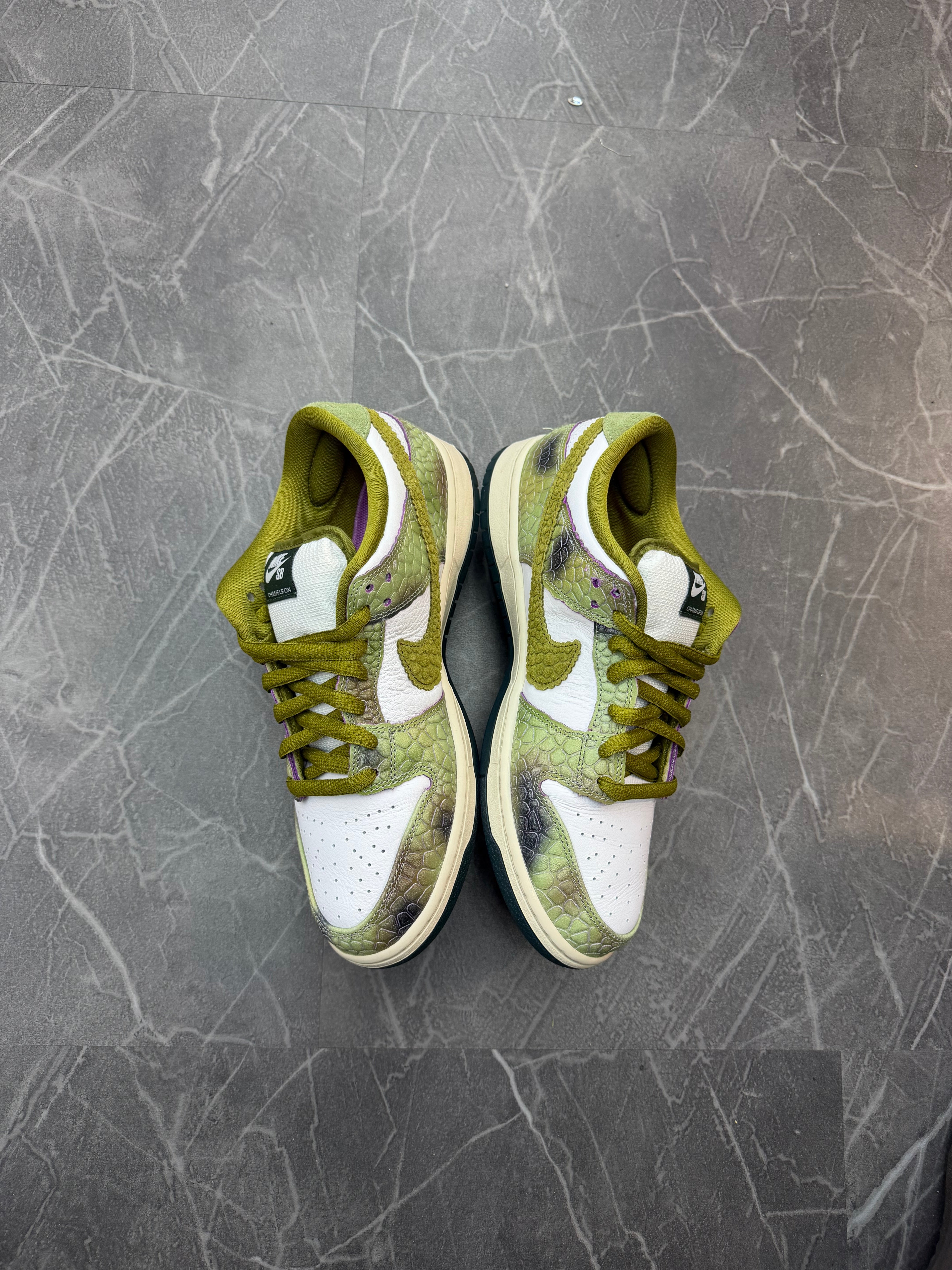 Nike SB Dunk Low “Chameleon”