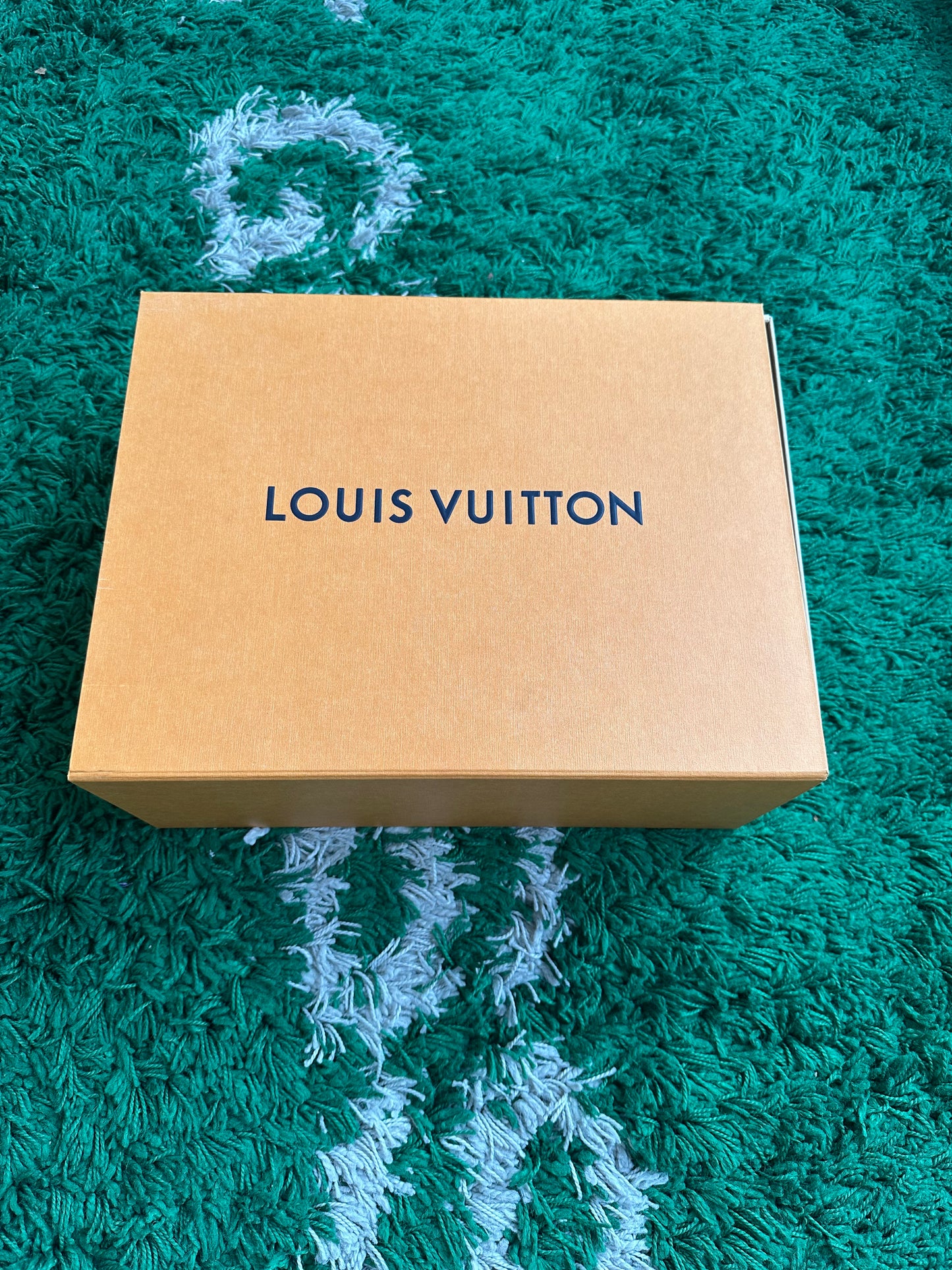 Louis Vuitton Skate Trainer “White Beige”
