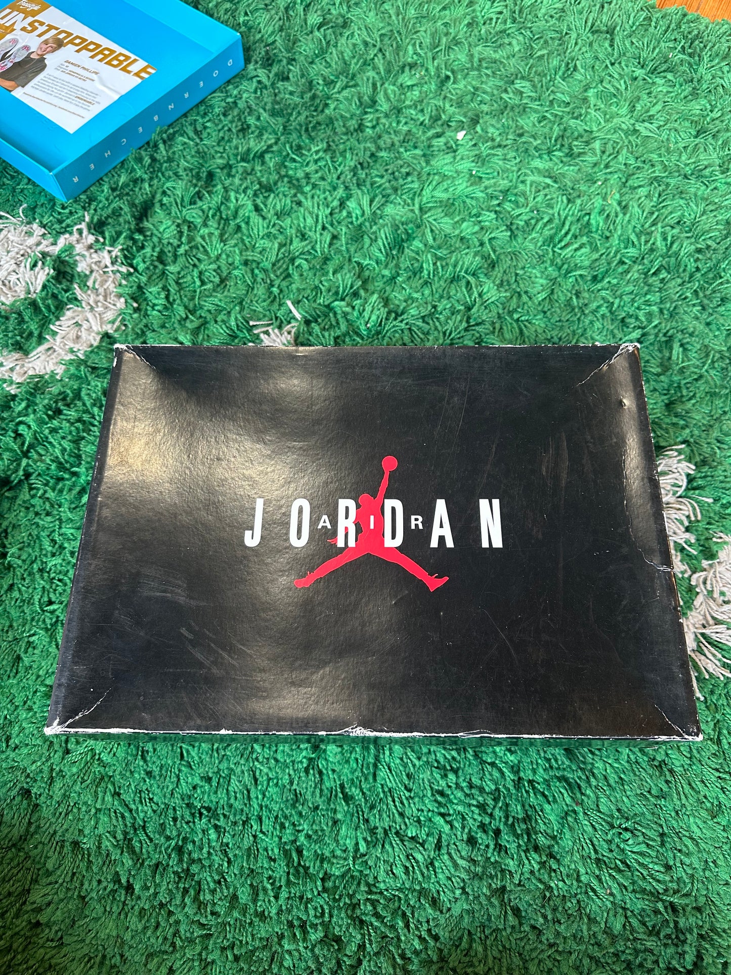 Jordan 10 “Shadow”