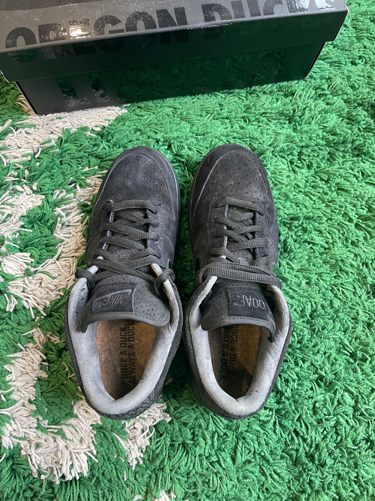Nike Dunk Low “Oregon PE Duck of a Feather”