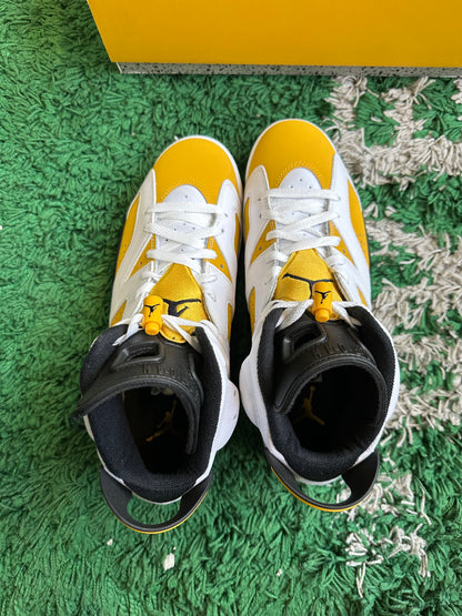 Jordan 6 “Yellow Ochre”