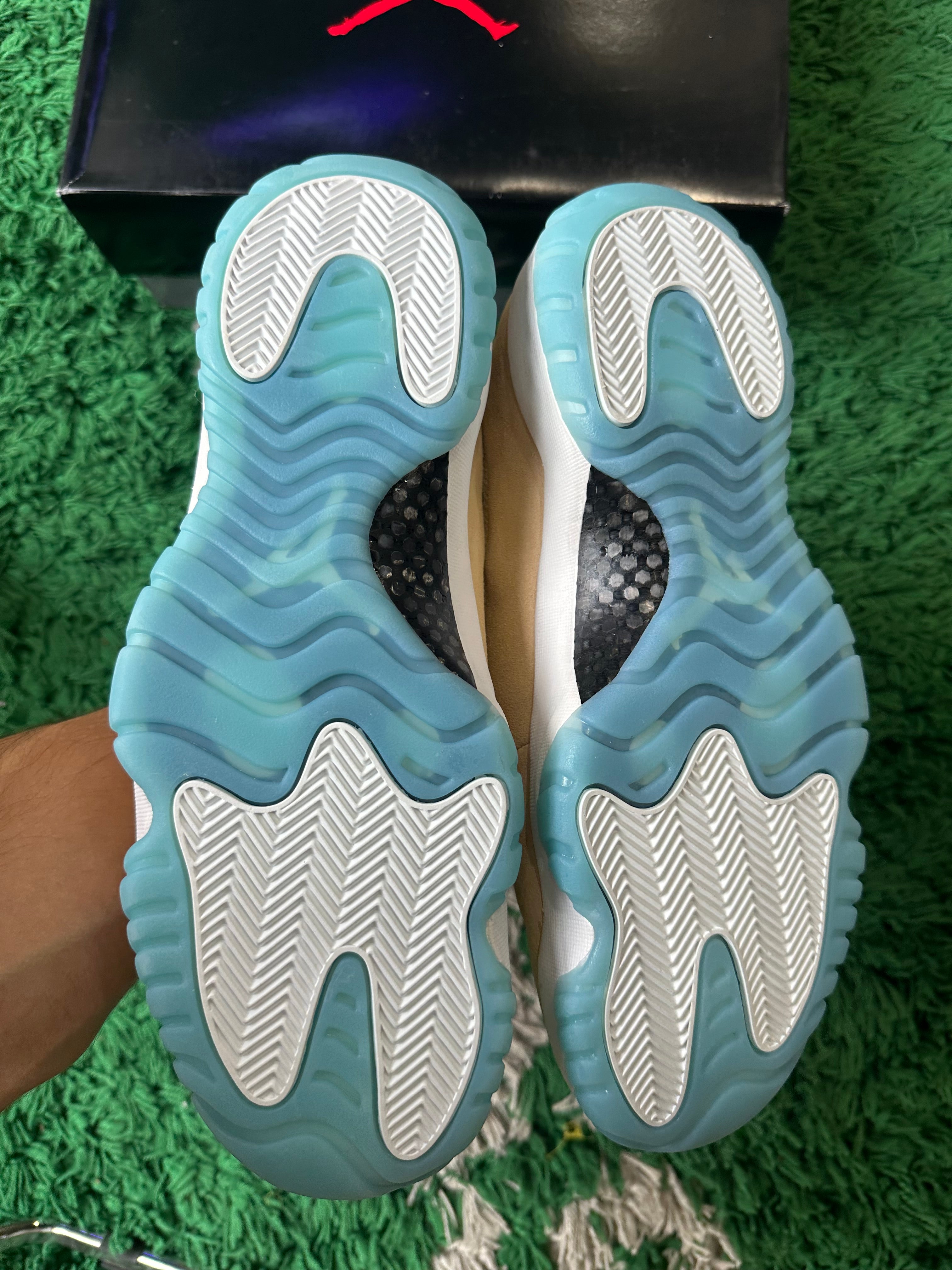 Jordan 11 “H-Town”