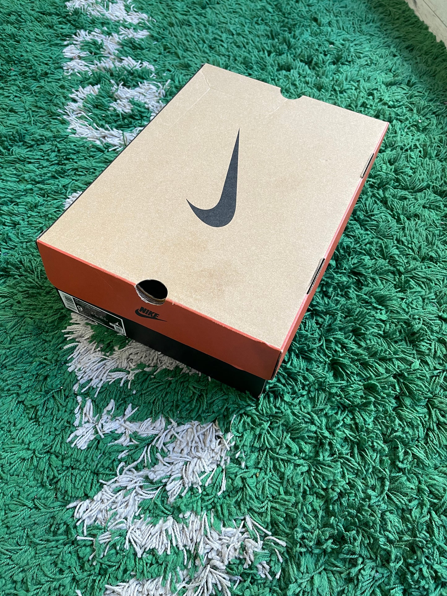 Jordan 12 “Flu Game”